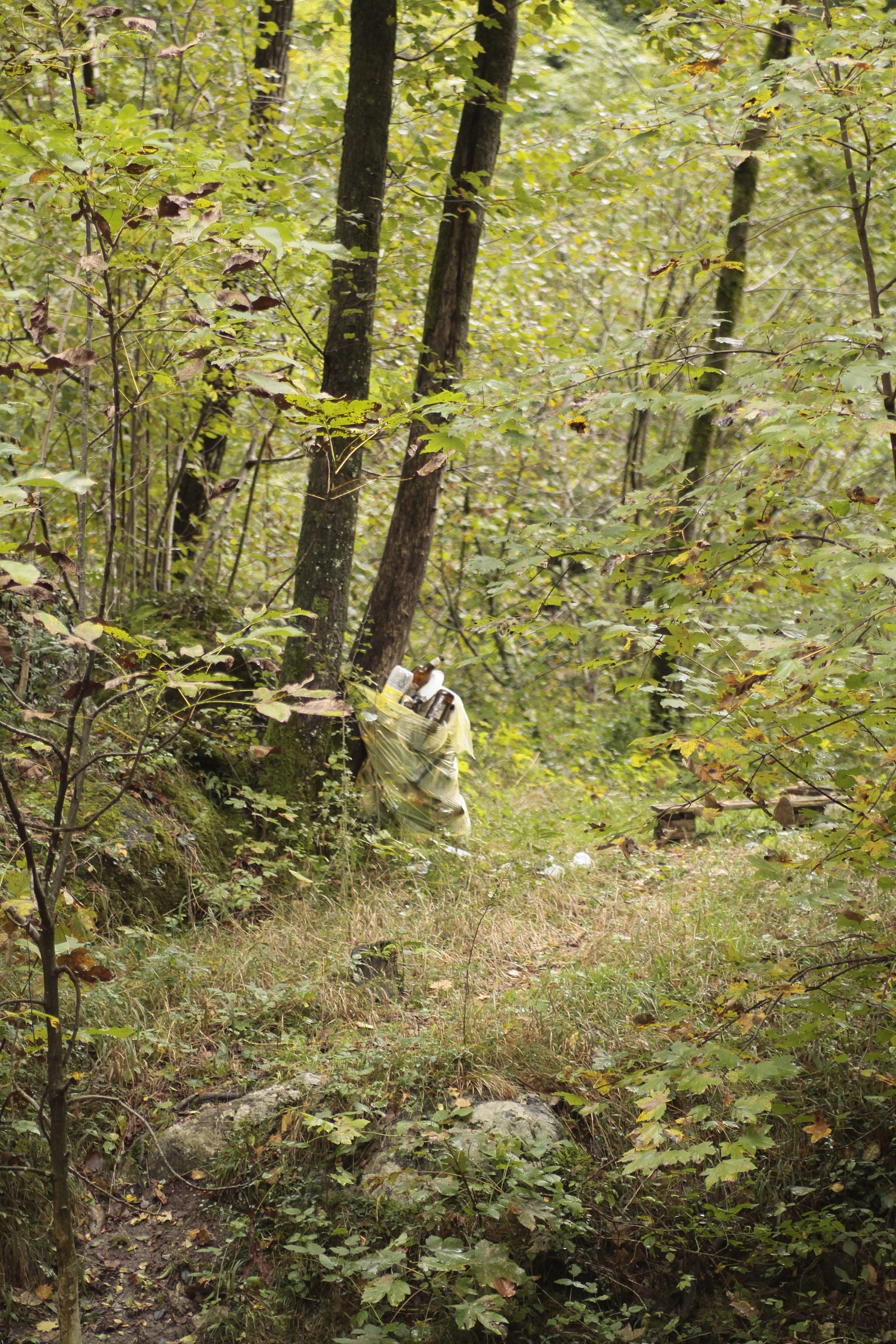 landscapes destroyed