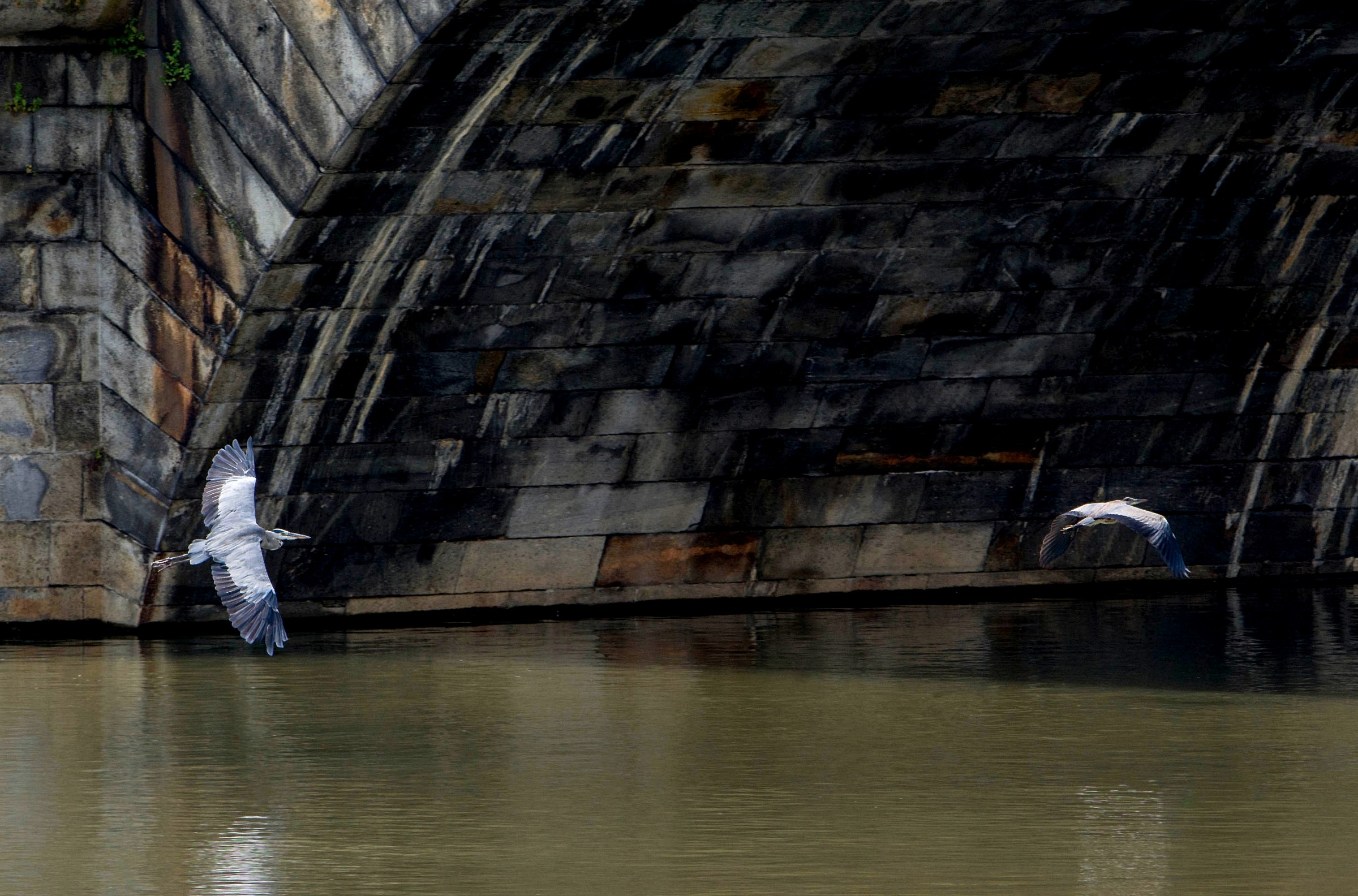 ambientata................