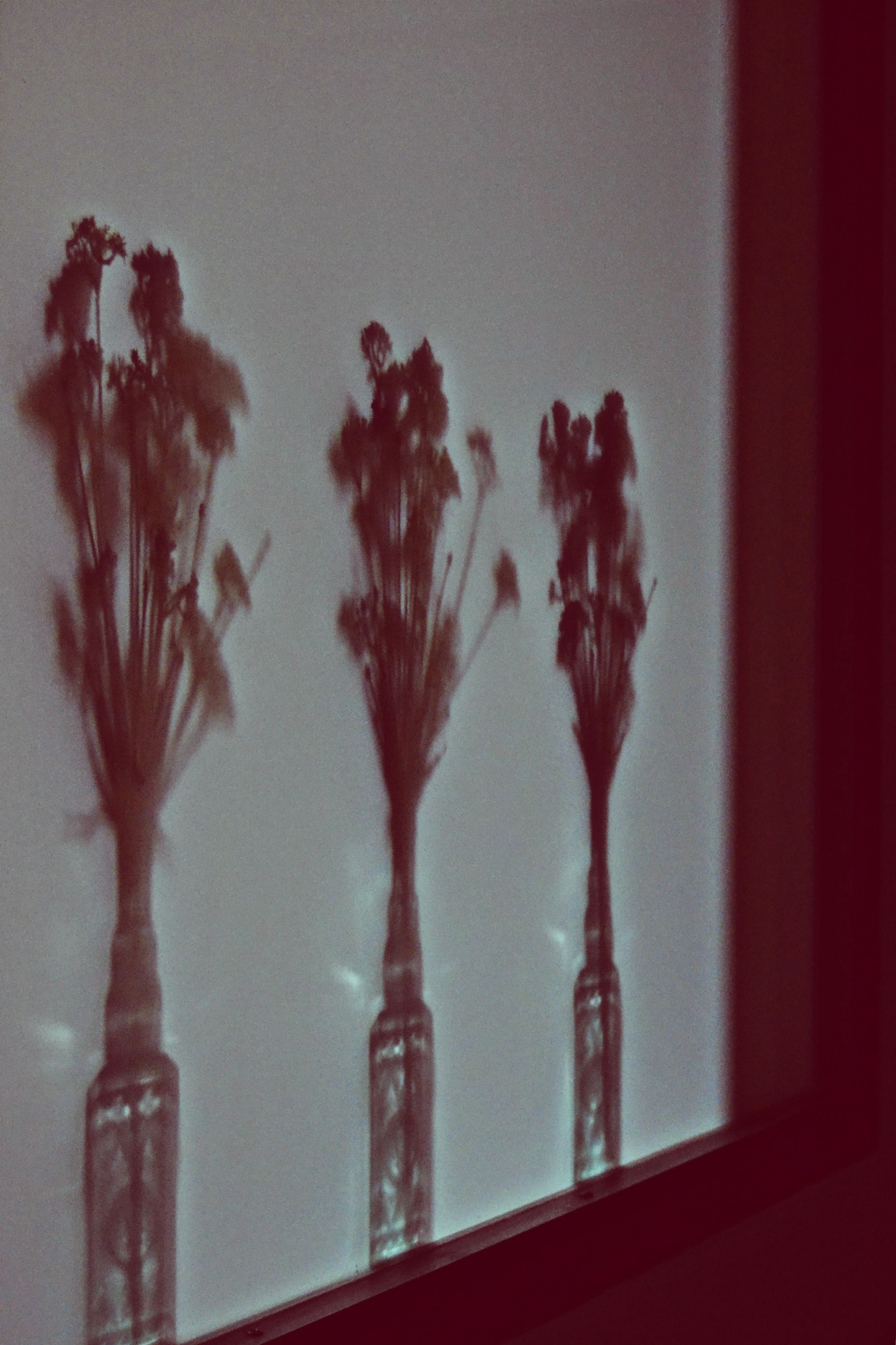 corners of the house ... reflections