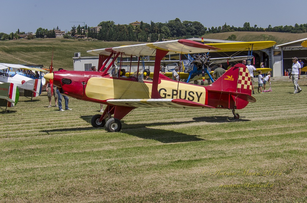Mensanello 19/07/2014