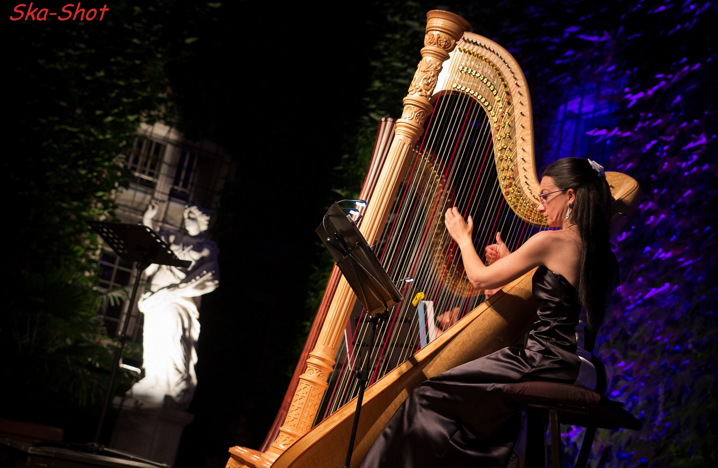 Musica In Rocca Meli Lupi