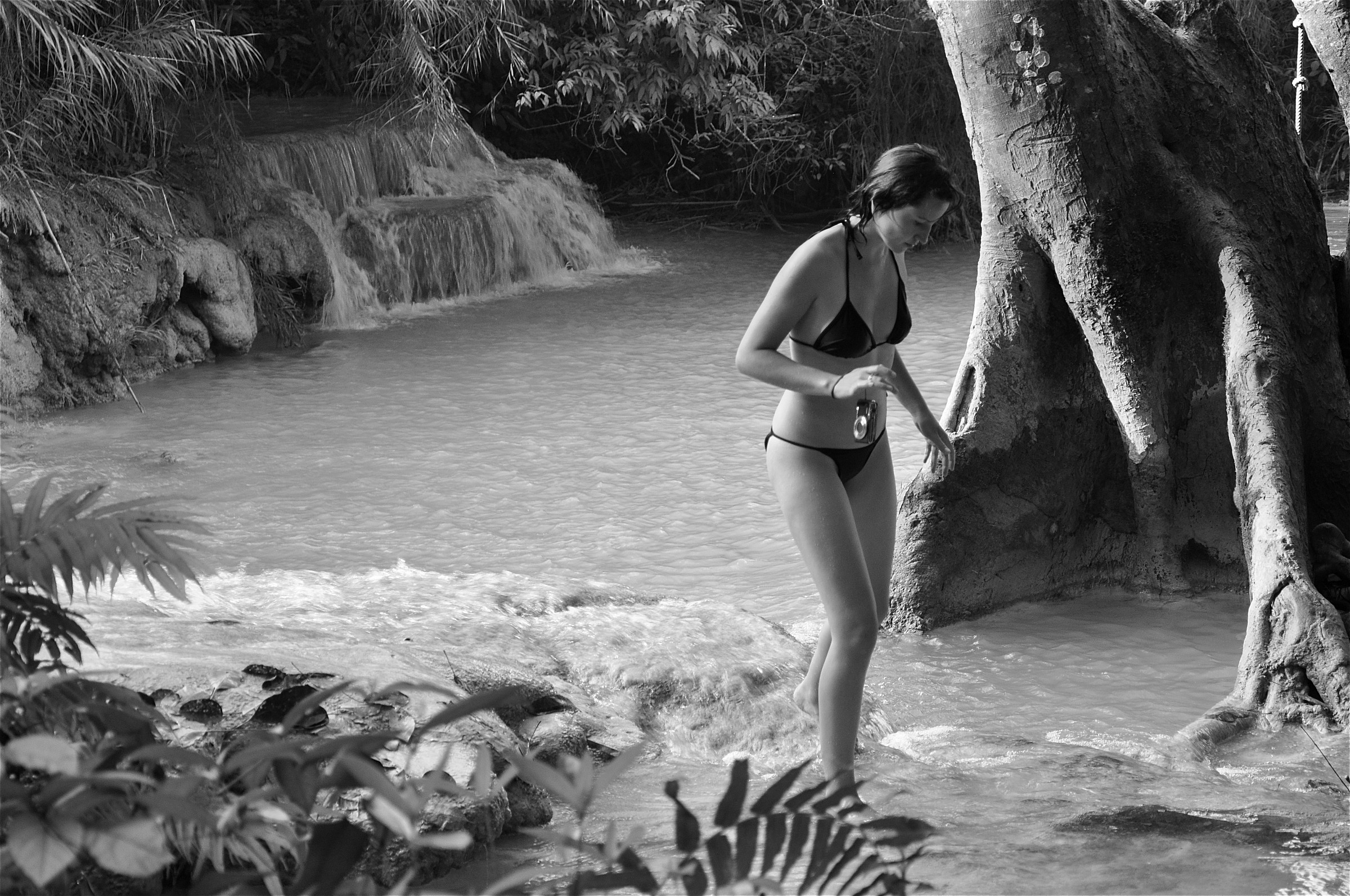 Nell'eden con digitale