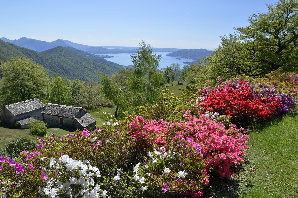 Lago maggiore  salendo al monte Faiè