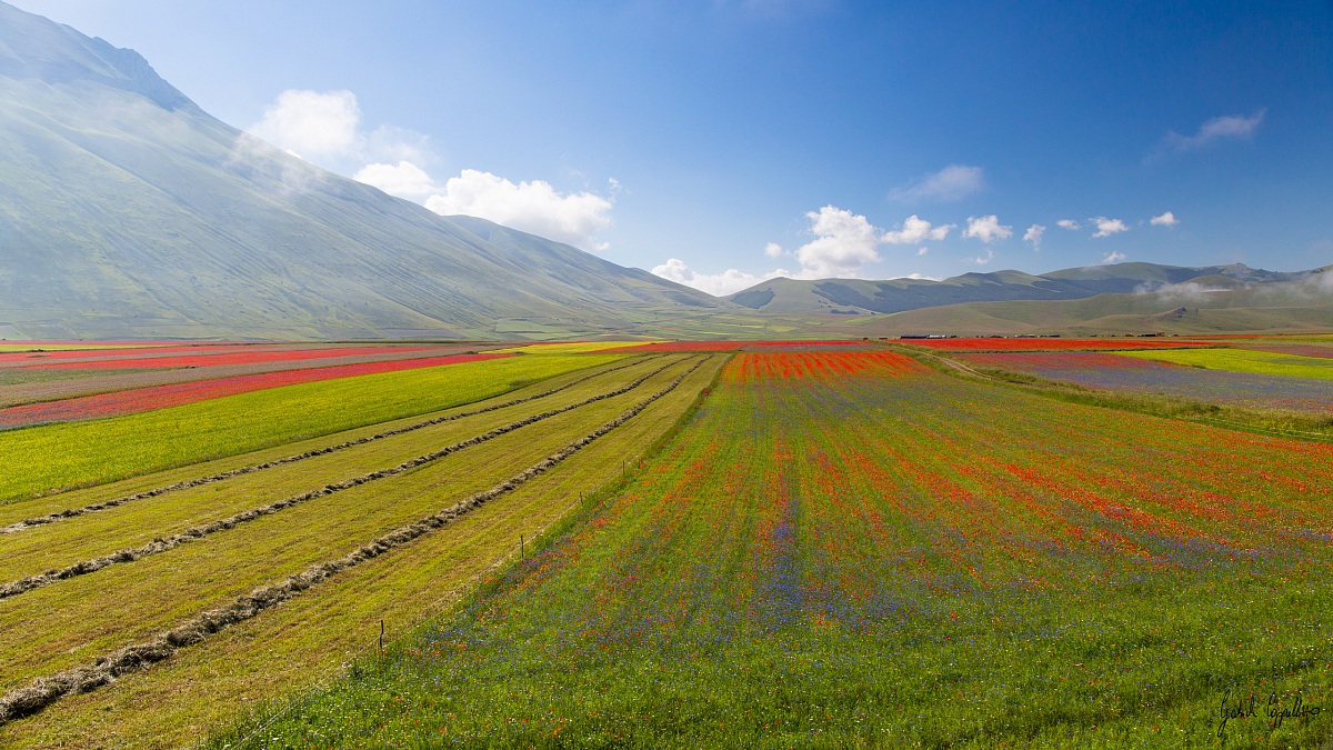 i colori di castelluccio