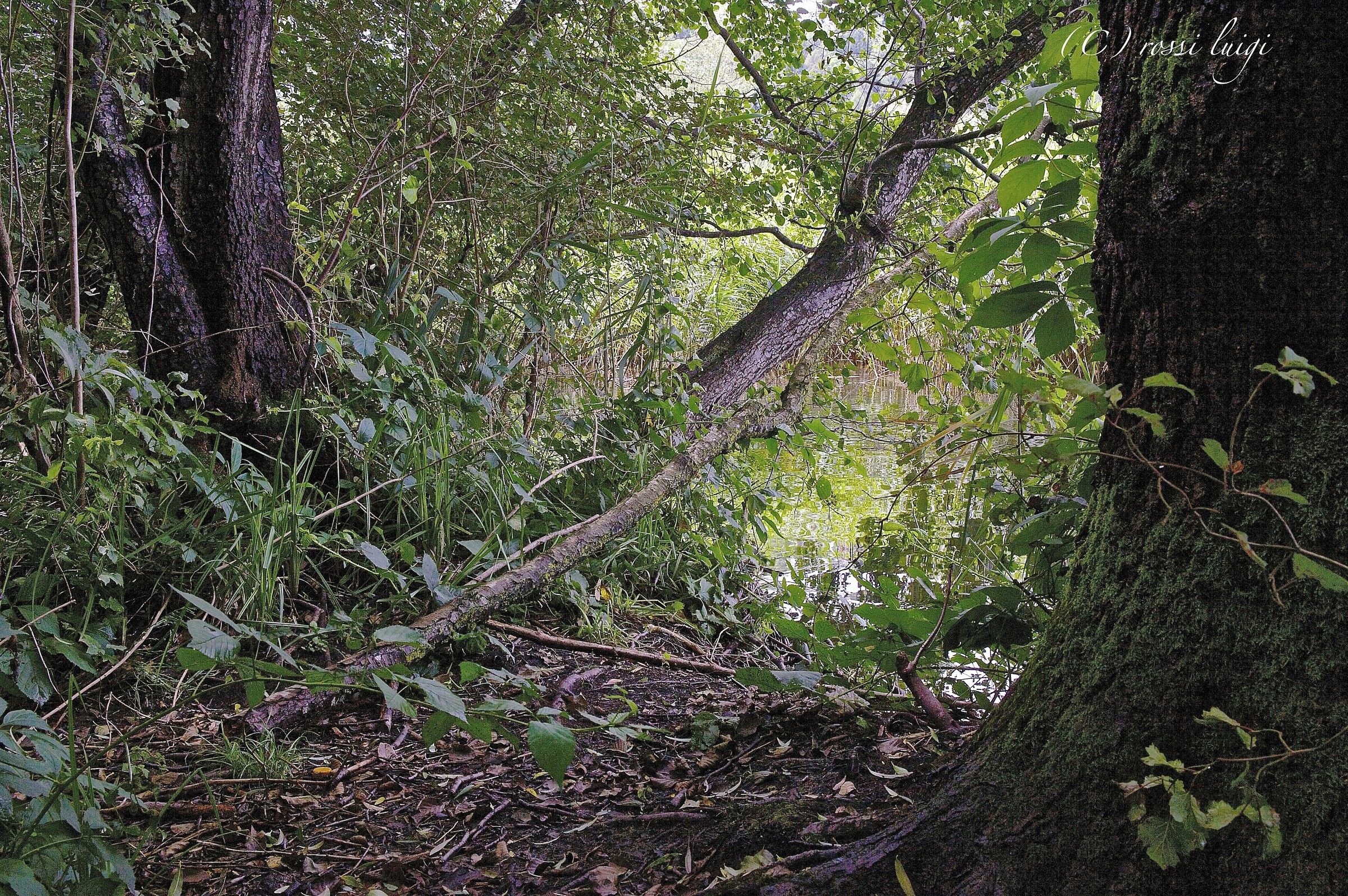 fra' realta' e fantasia