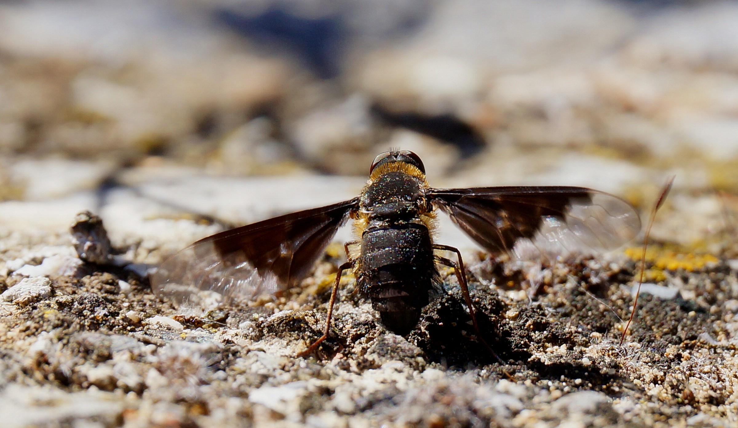 Riscaldamento motori