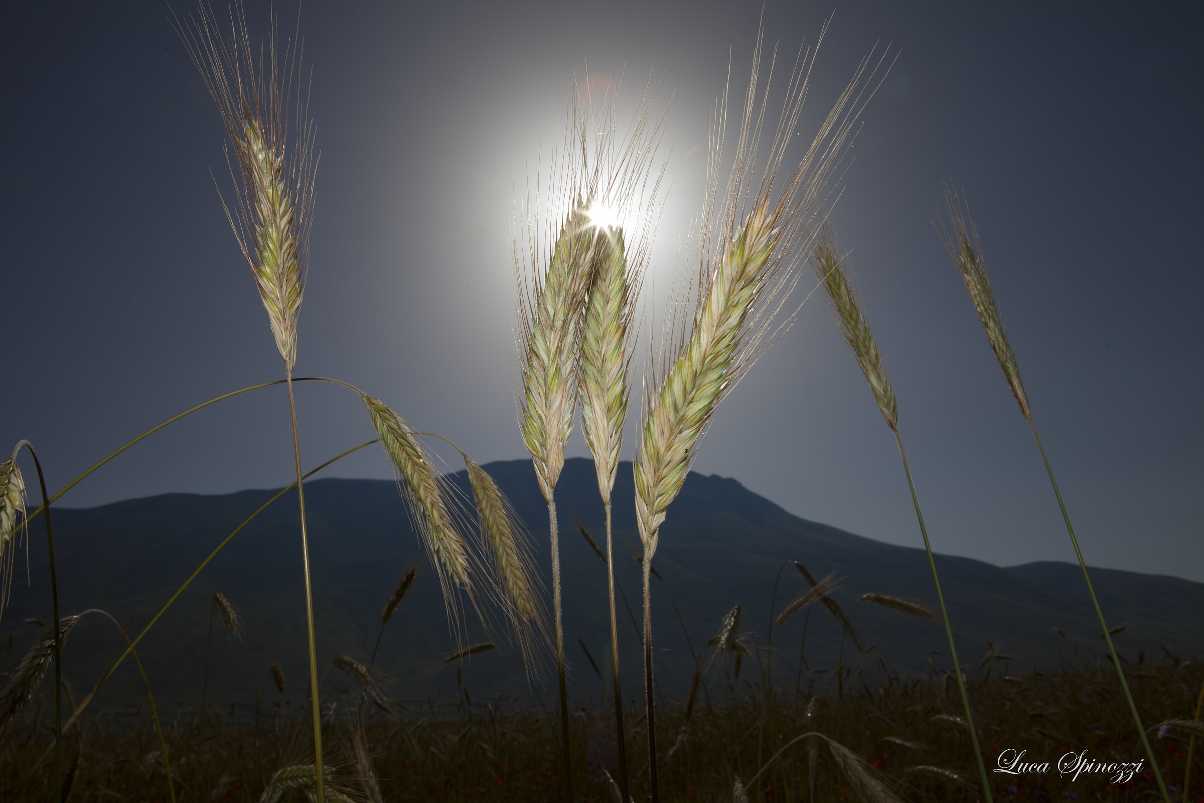 una splendida giornata...