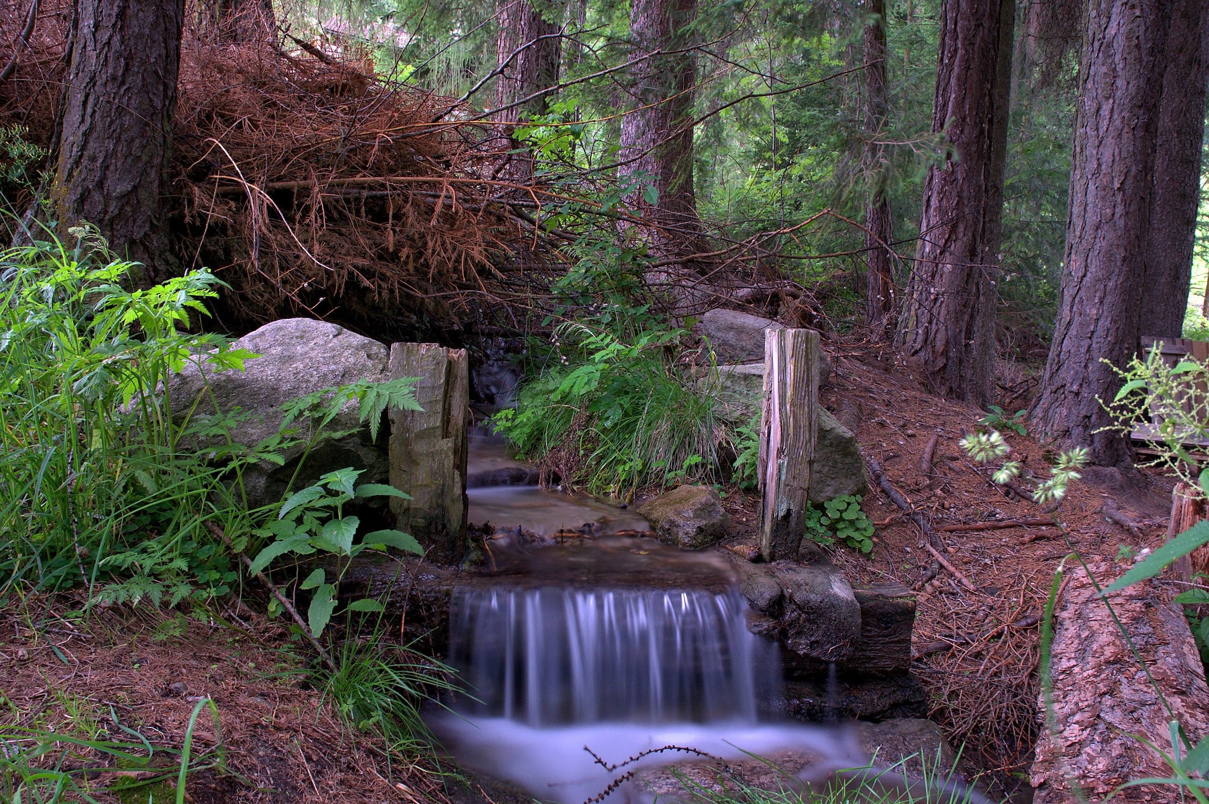 The long days of 'water