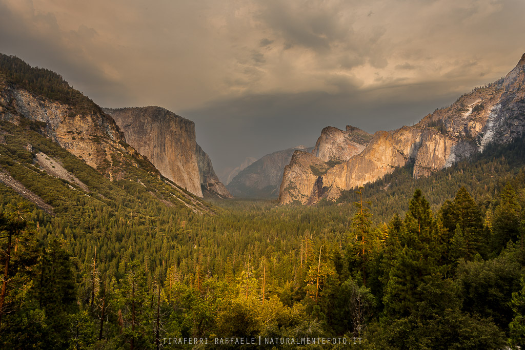 Yosemite NP