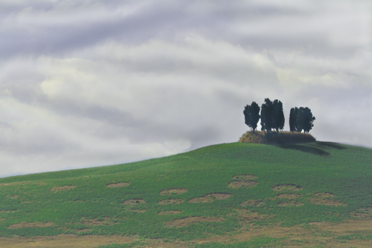 ...La collina con i cipressi...