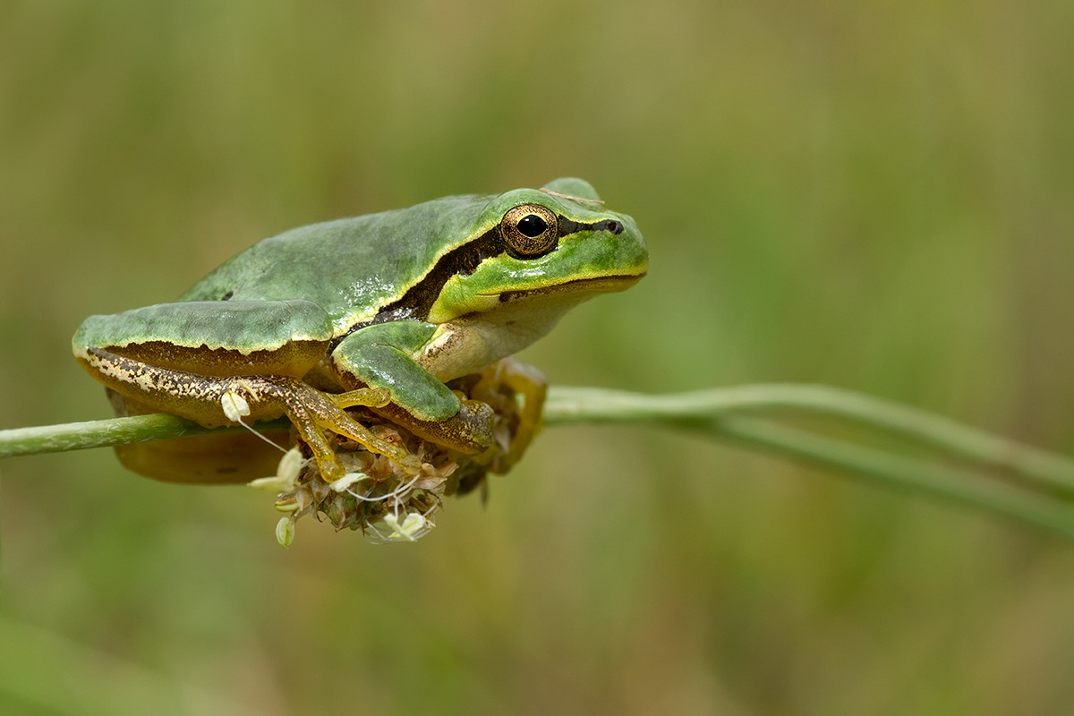 Tra una pioggia...e l'altra.