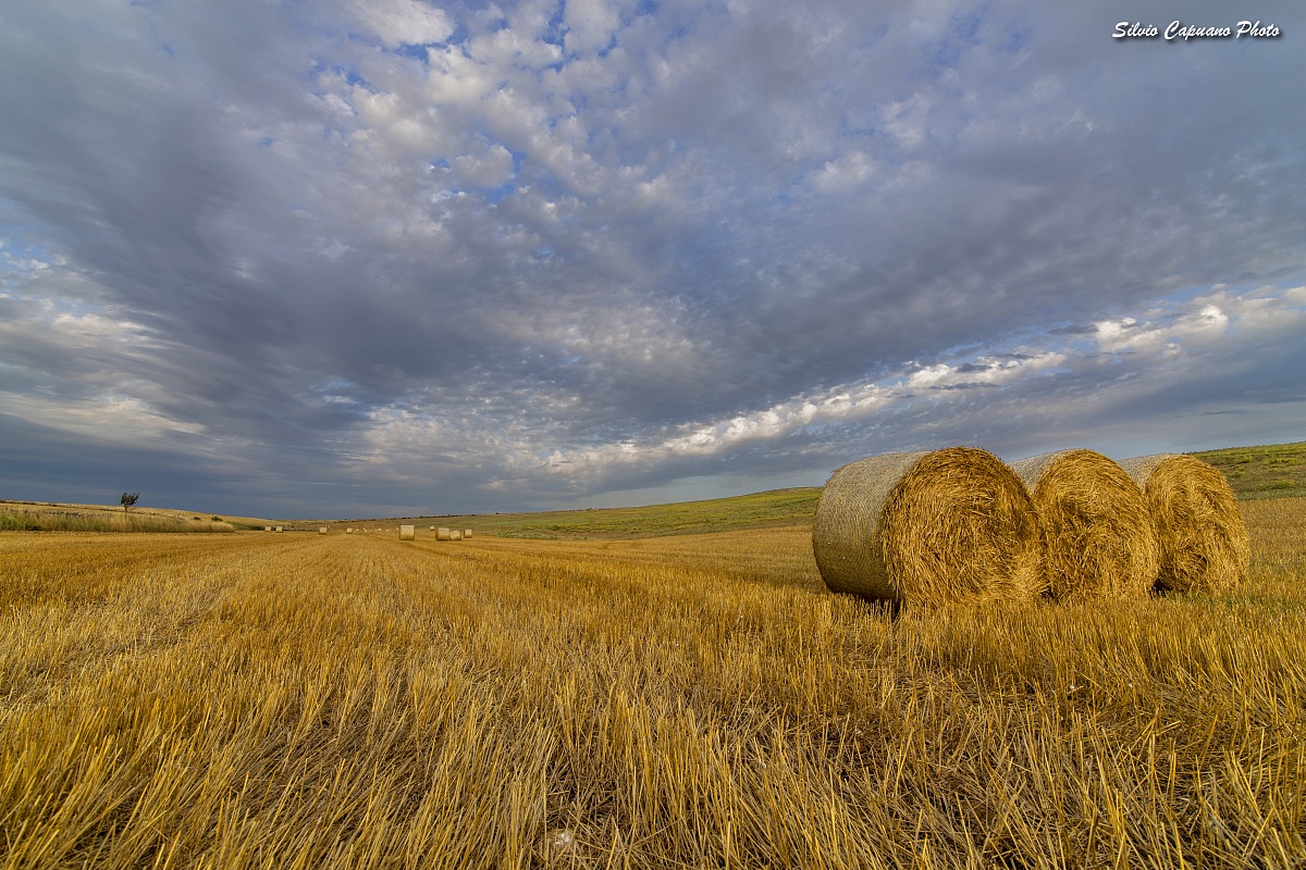 Bellezza dopo il raccolto