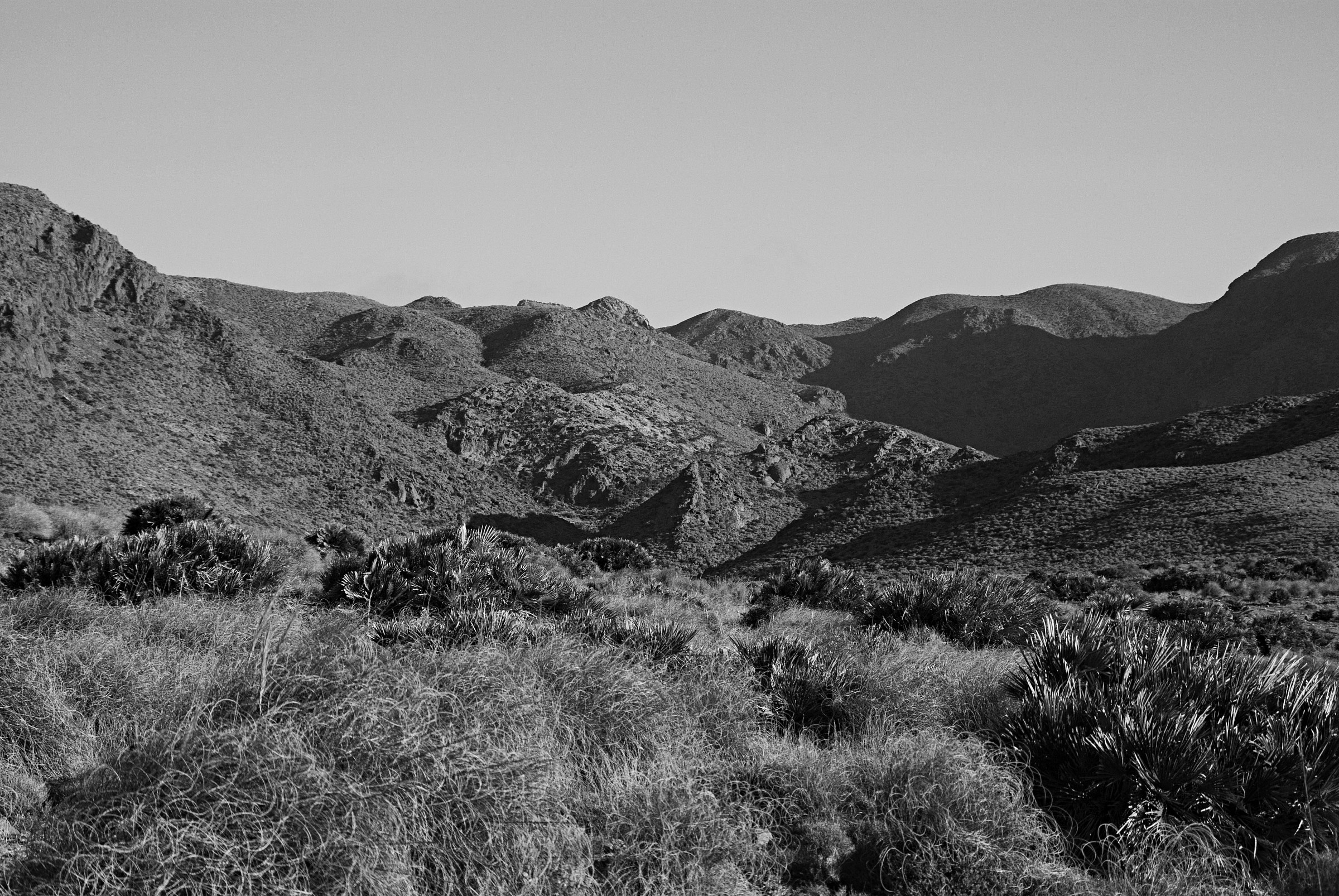 Sierra de Cabo de Gata