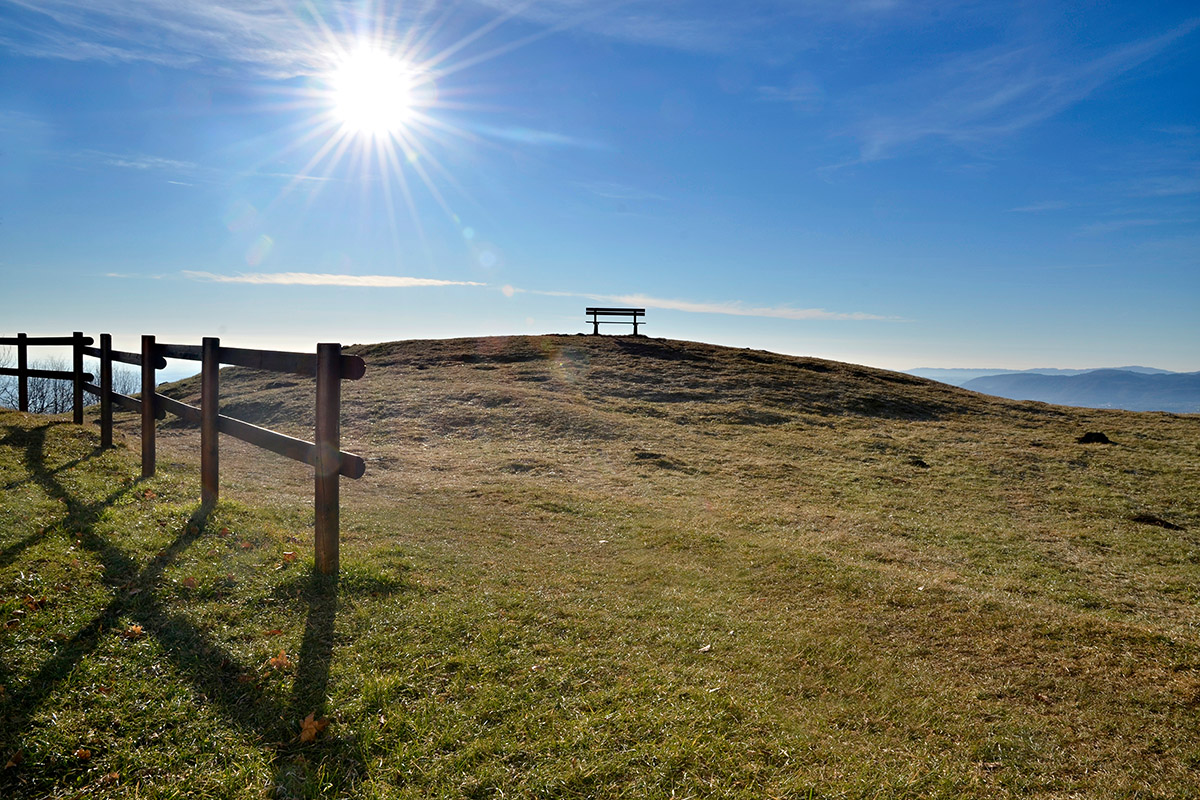 In the front row ...