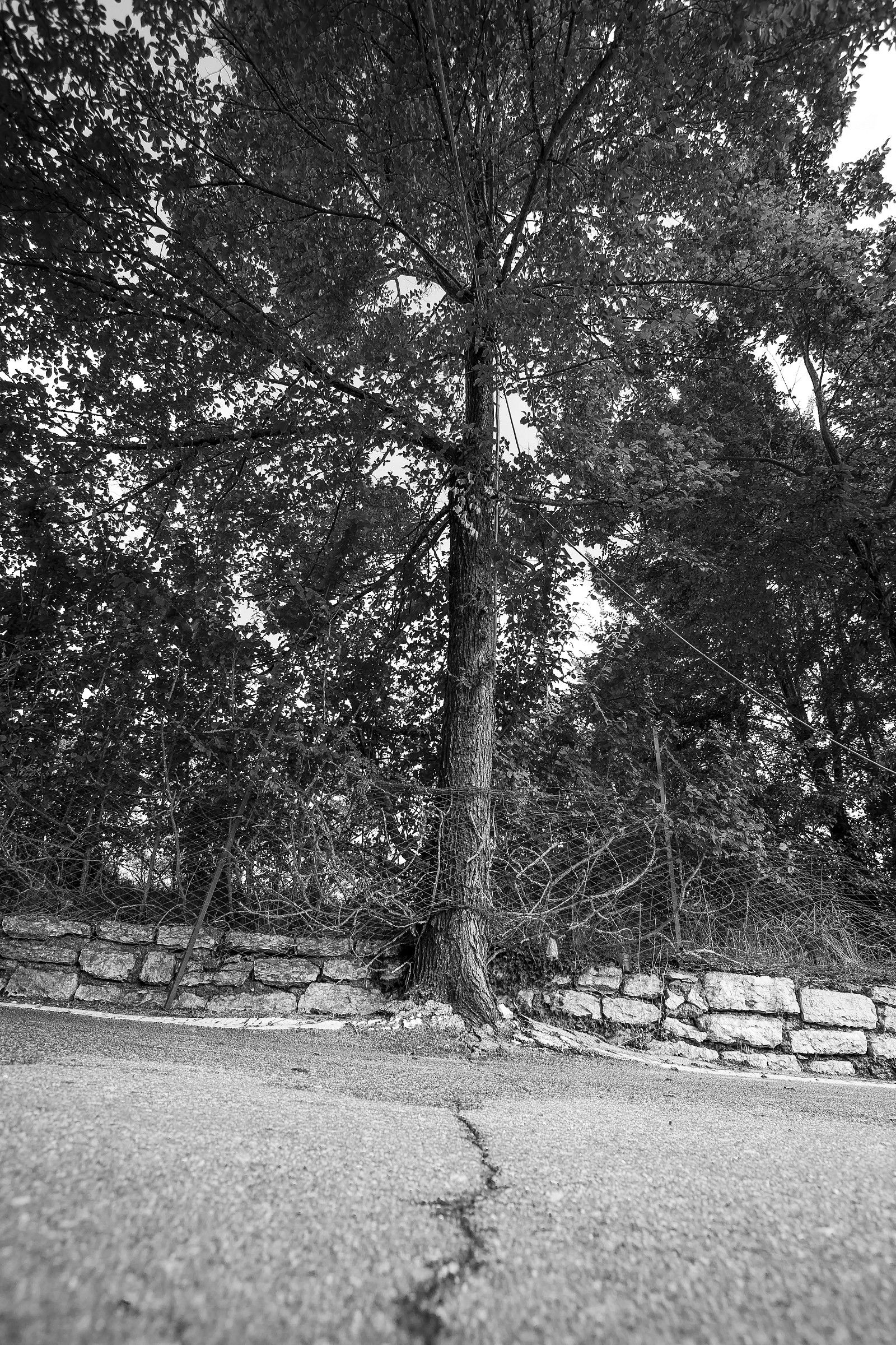 nature always wins ... hopefully