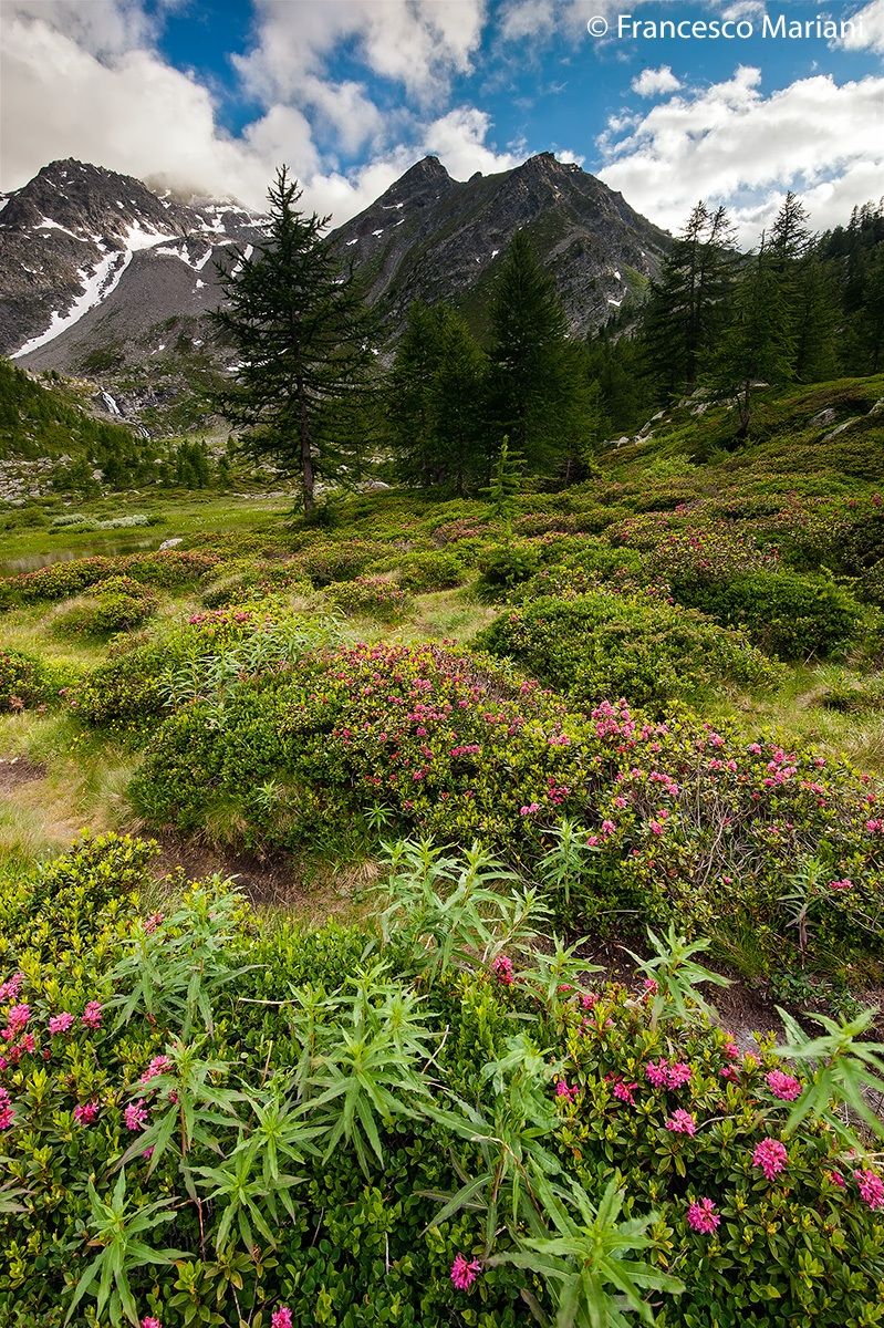 Lago d'Arpy, Mystic Place