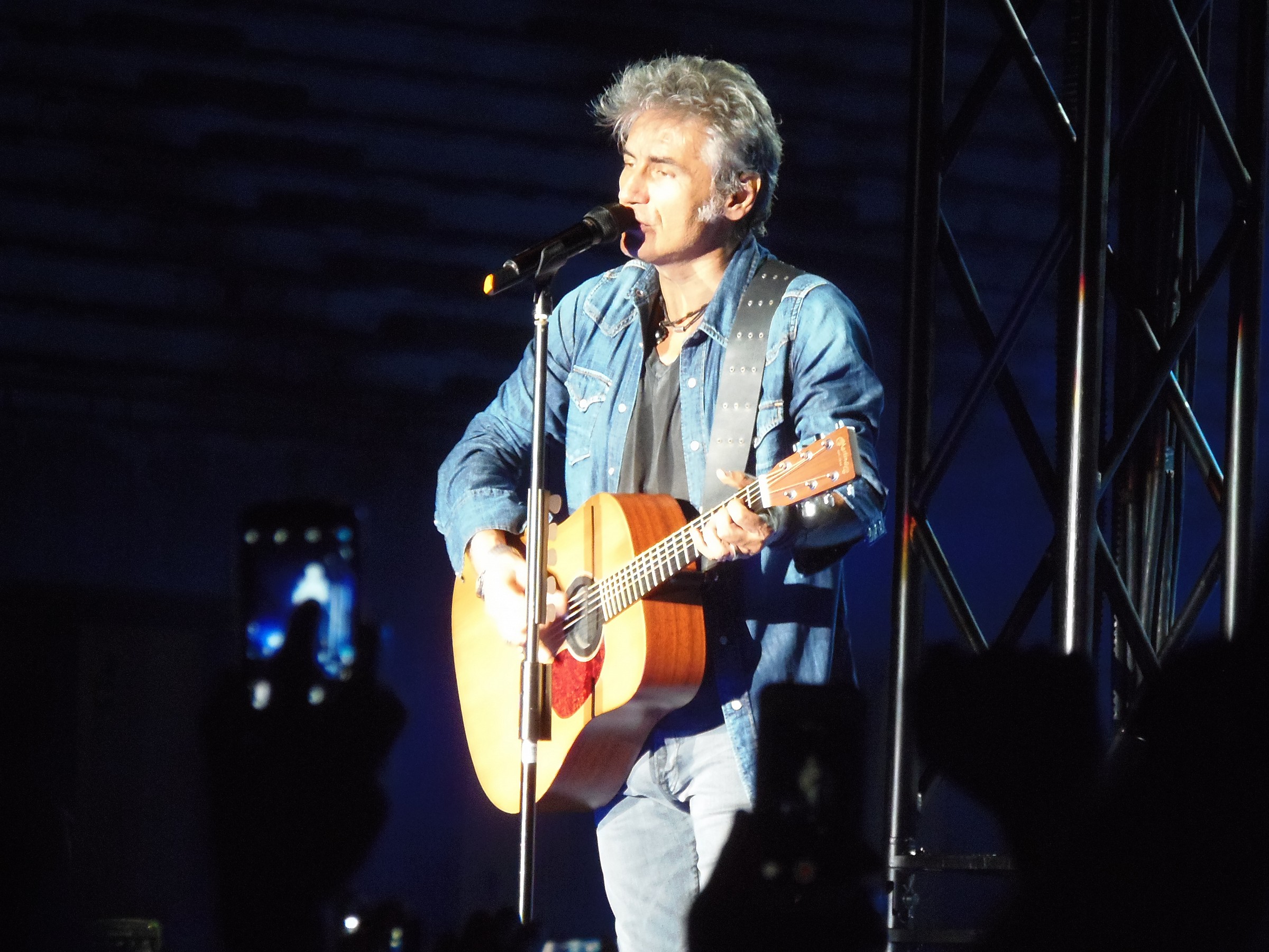 Luciano Ligabue