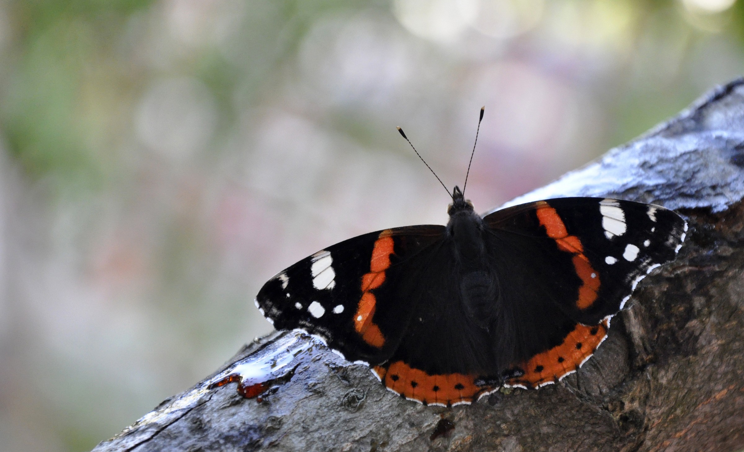 What do you call this piece?