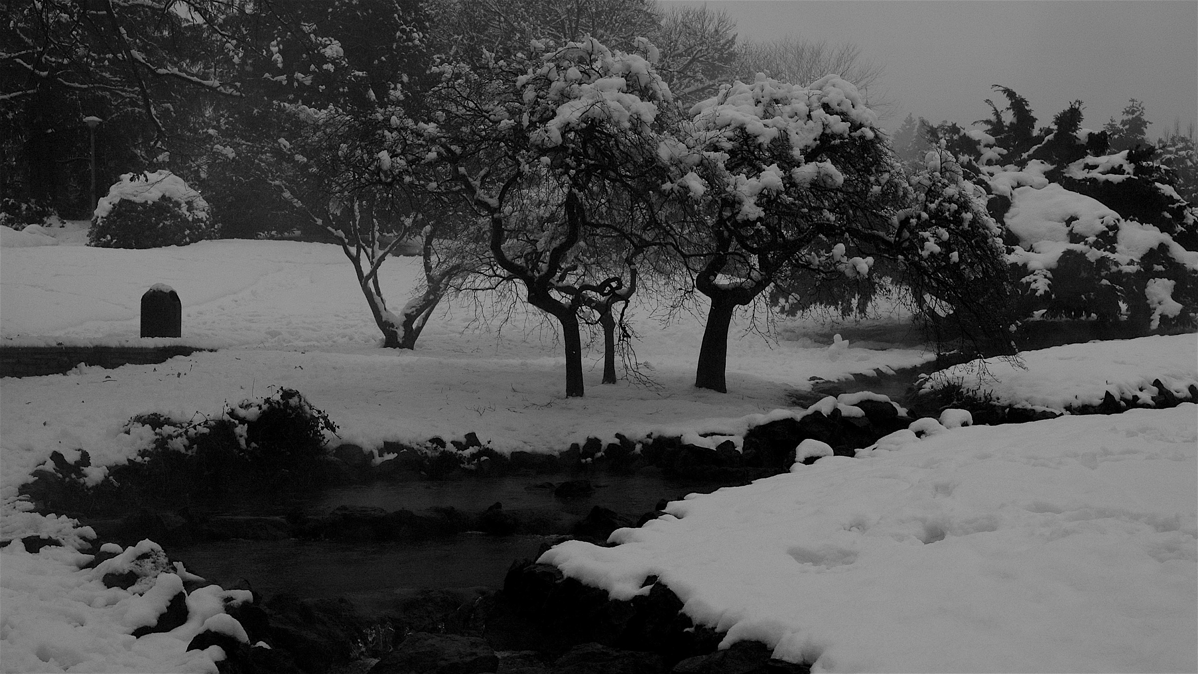 Torino - Giardino innevato