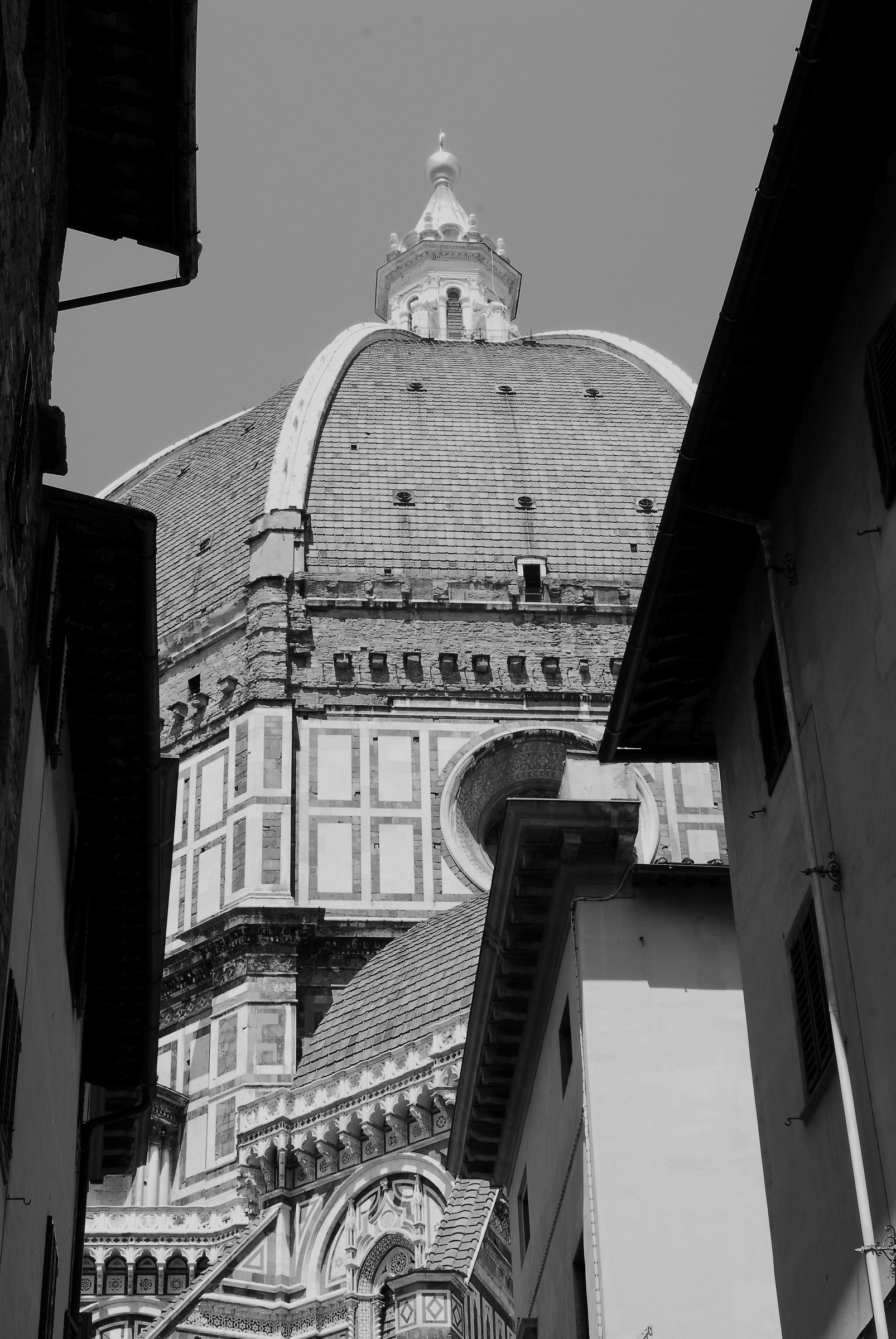 Firenze - Scorcio