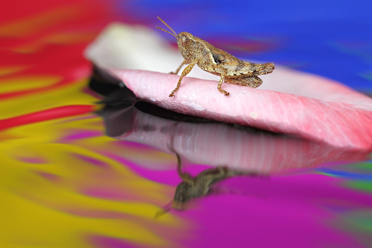 Navigando tra i colori