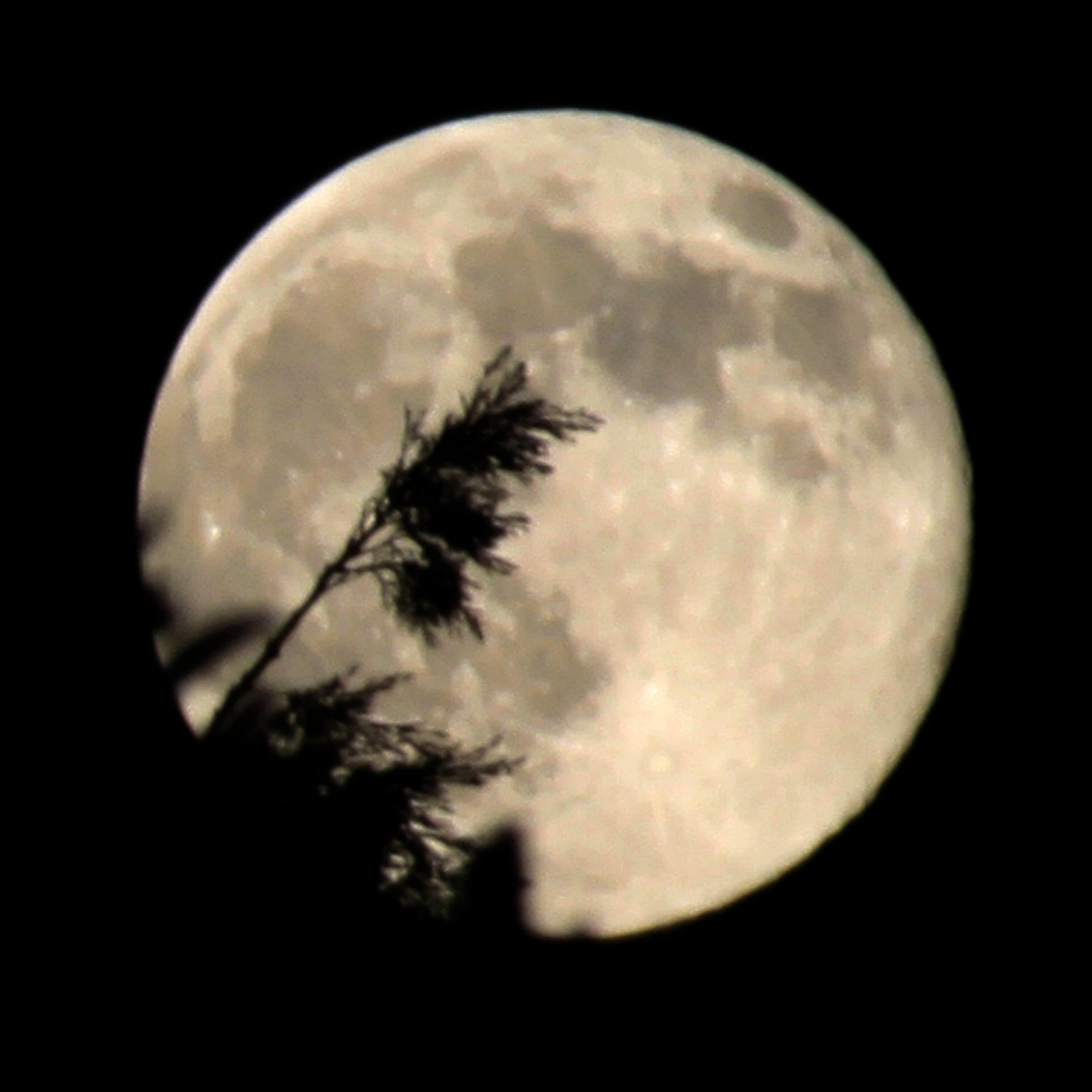 Lunar perigee ... with duvet!