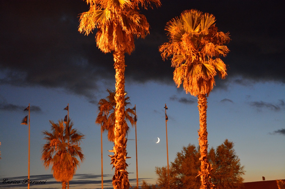 Mezzaluna in piazza Mazzini