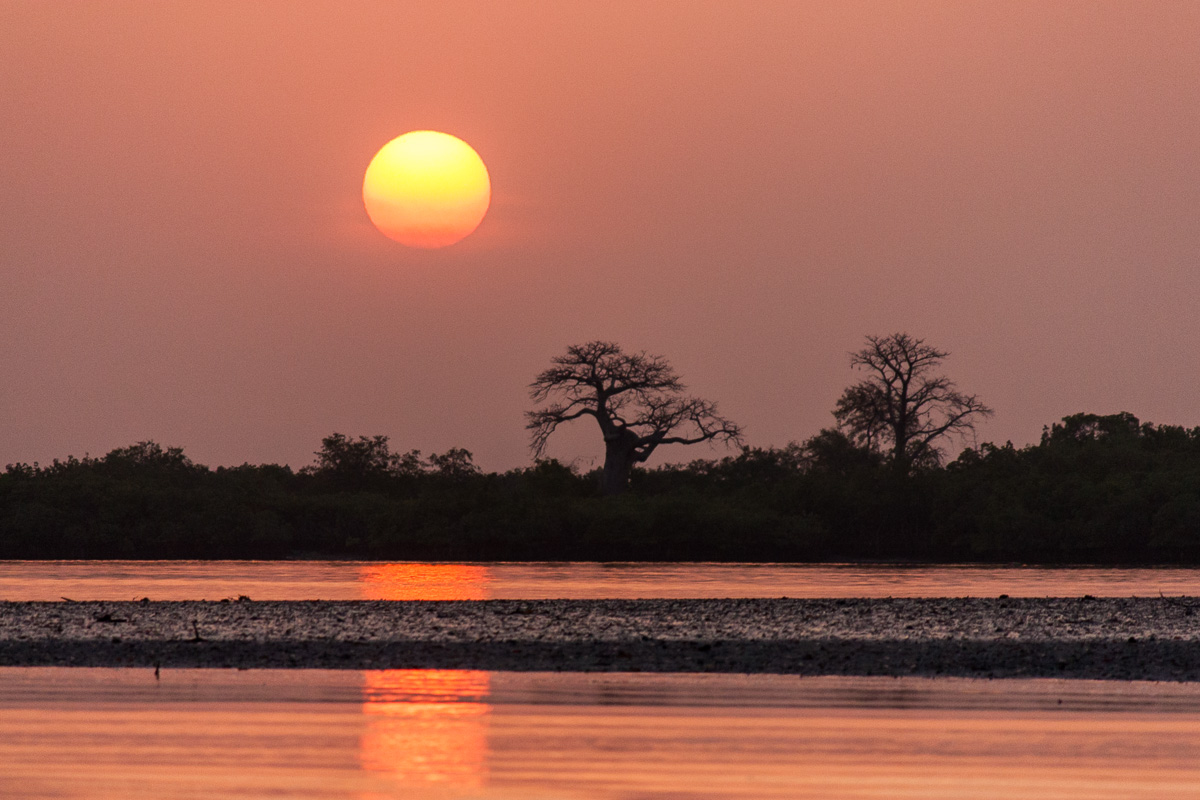 African Sunset