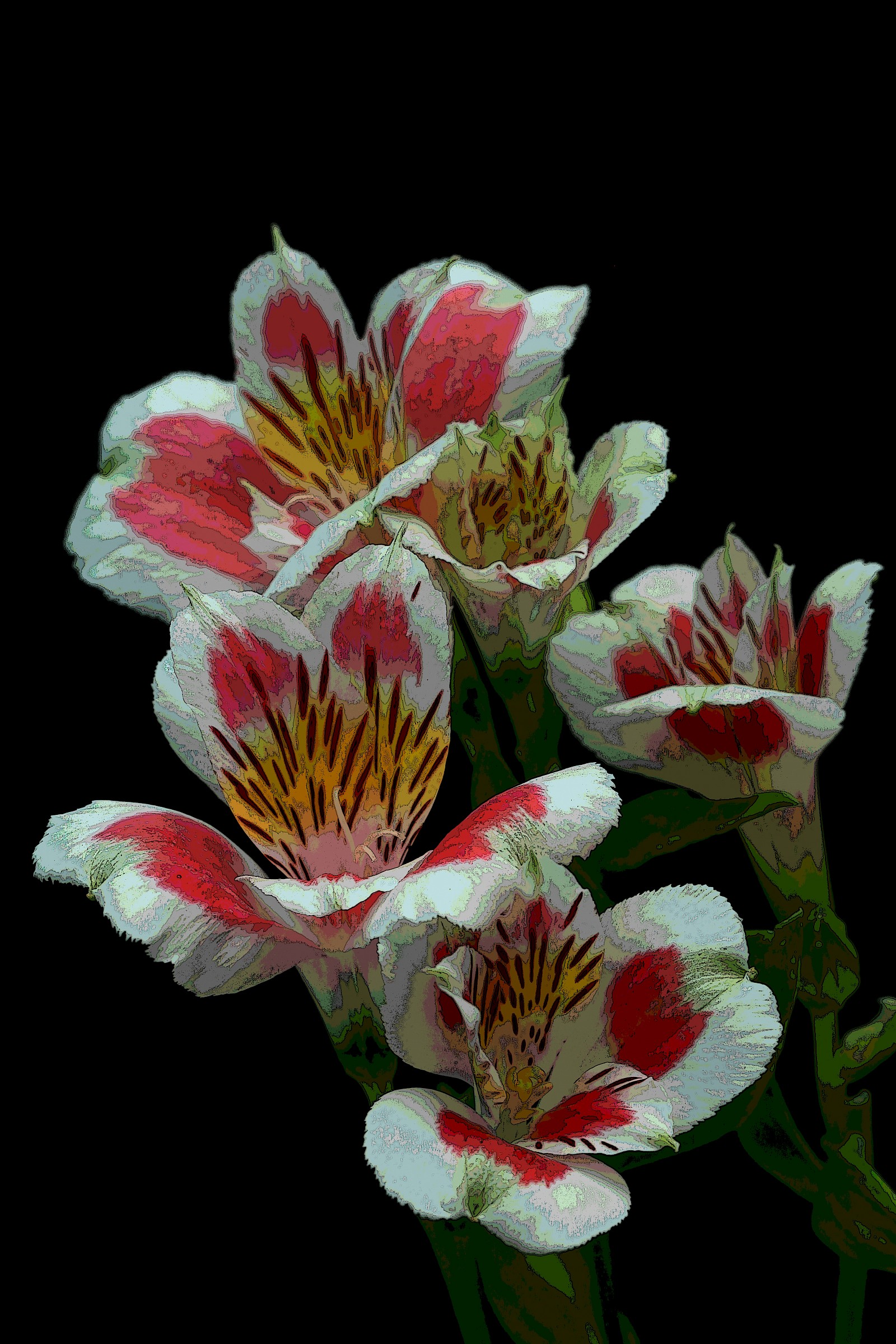 Elaborazione floreale