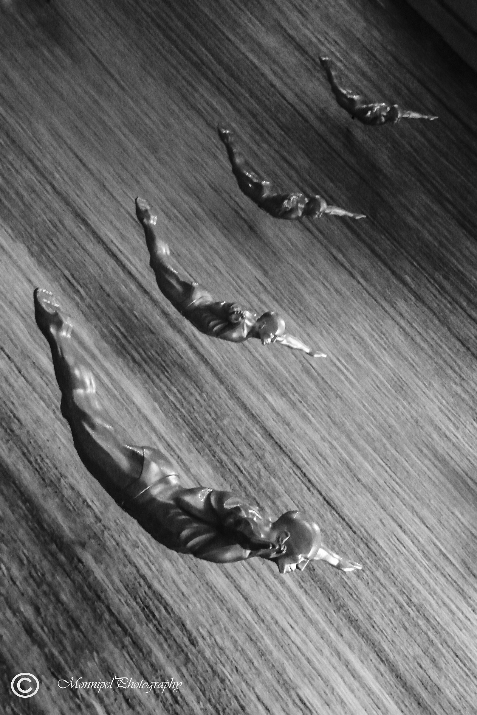 The flight  (waterfall in Dubai mall)