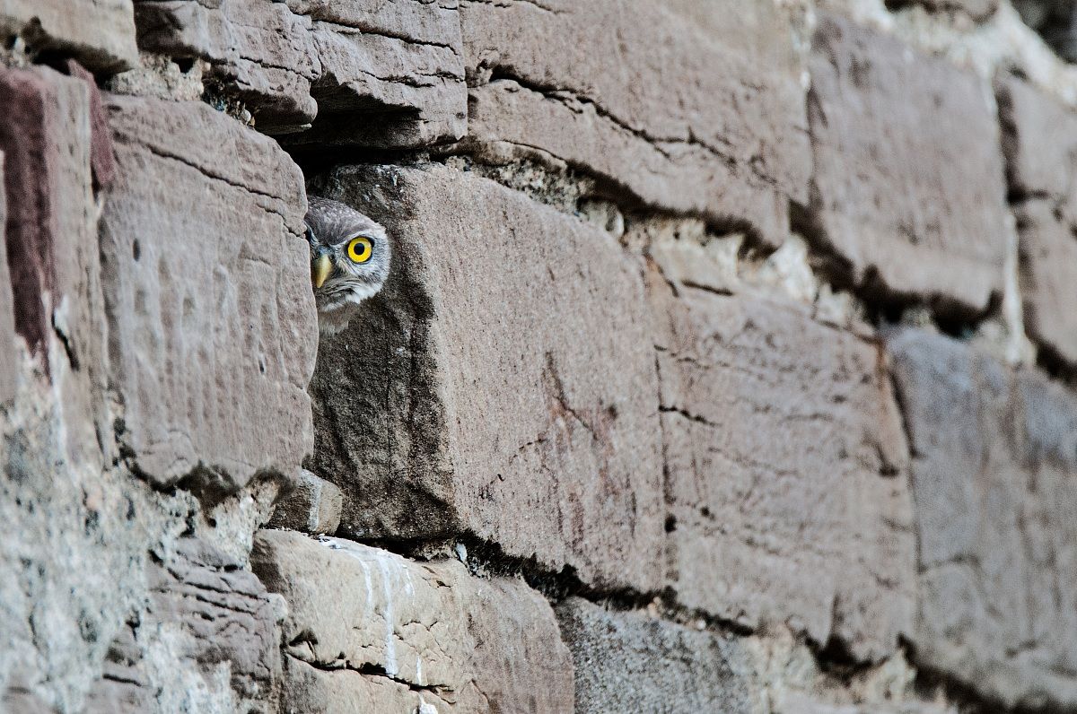 And what do you want!