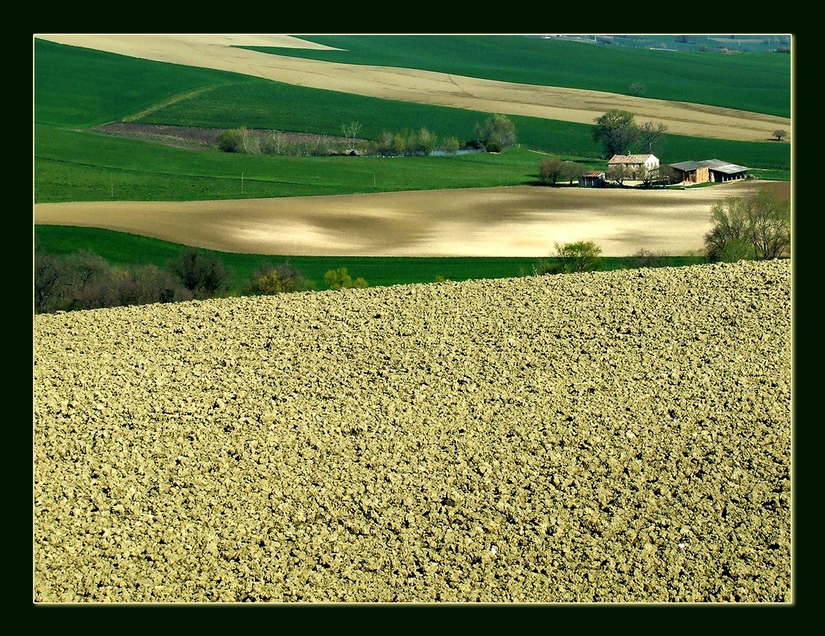Campagna marchigiana. Arcevia