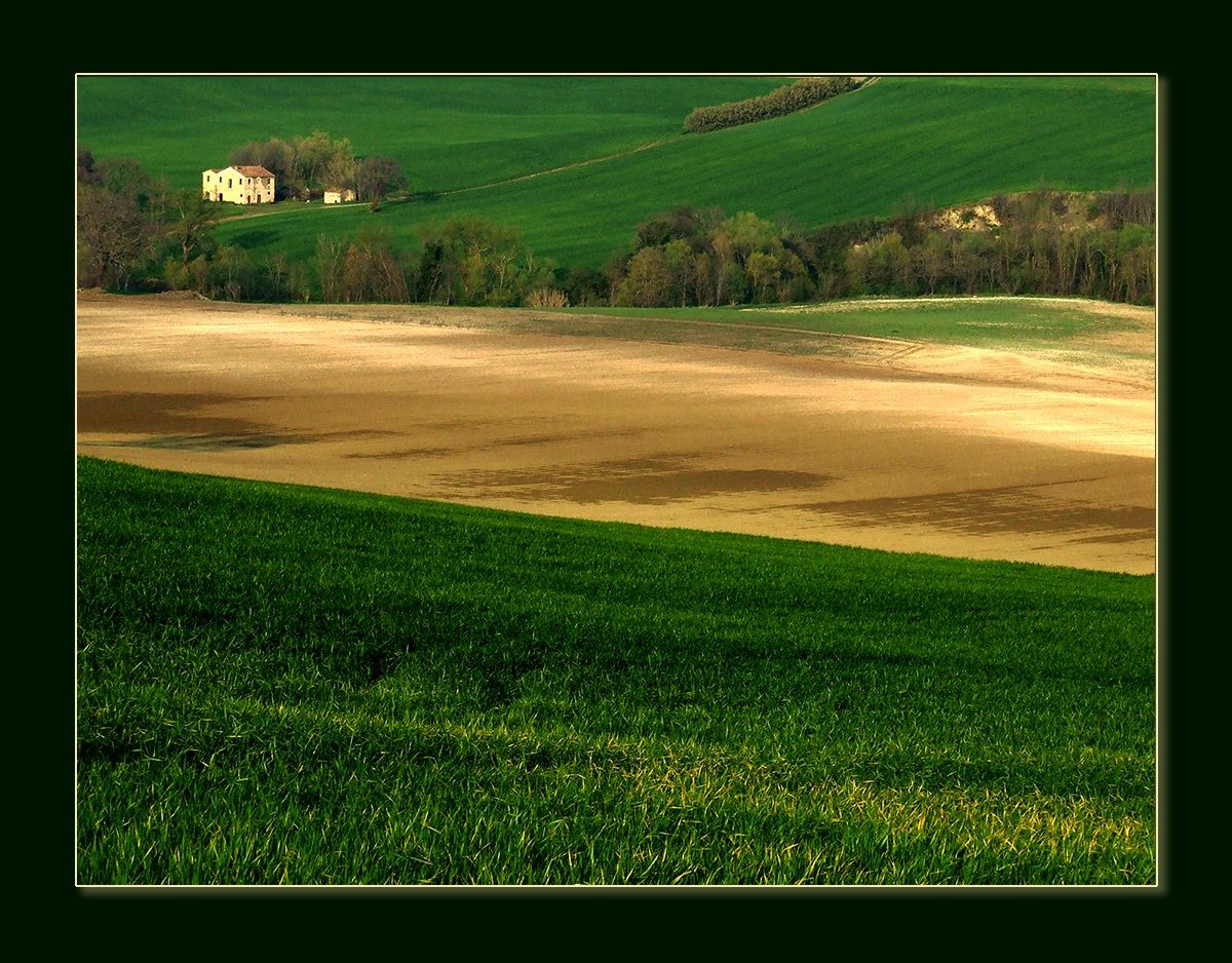 Campagna marchigiana. Arcevia