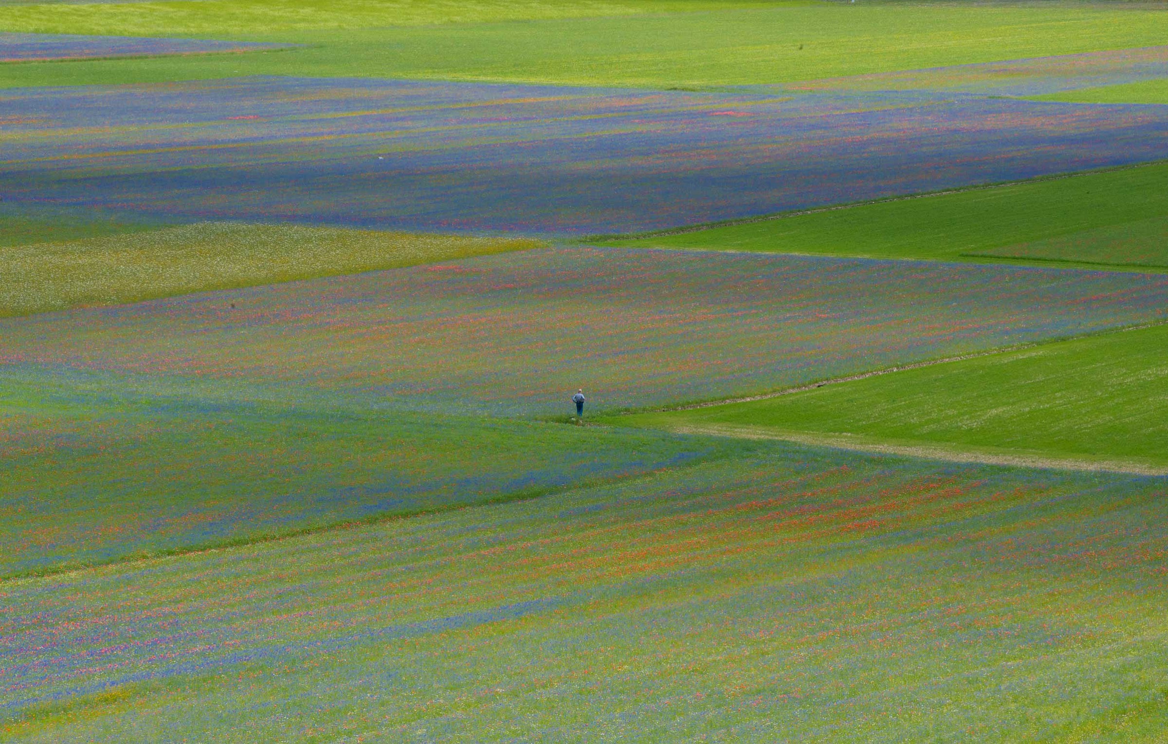 Castelluccio 03