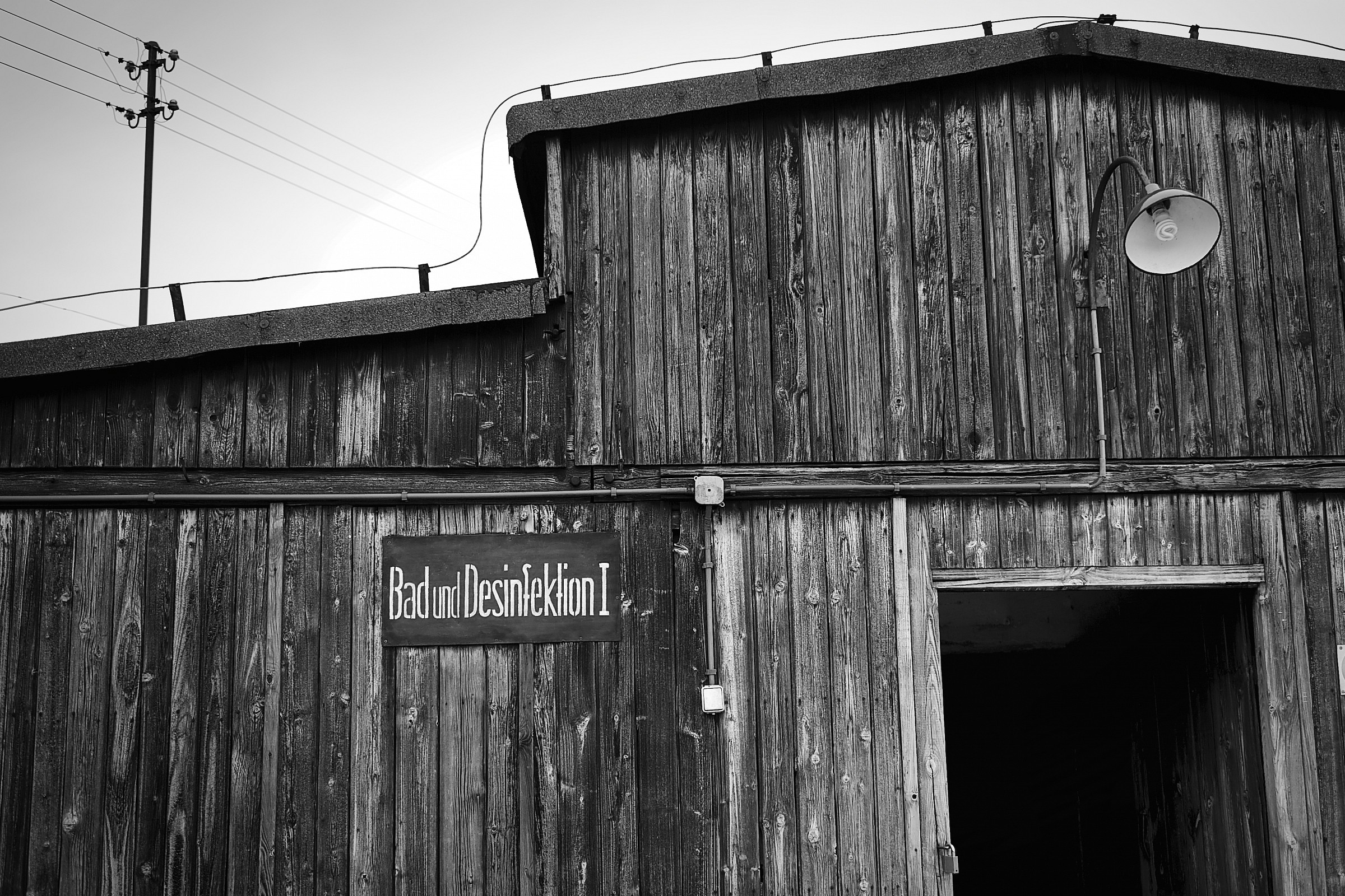 Building and Pest gas chamber