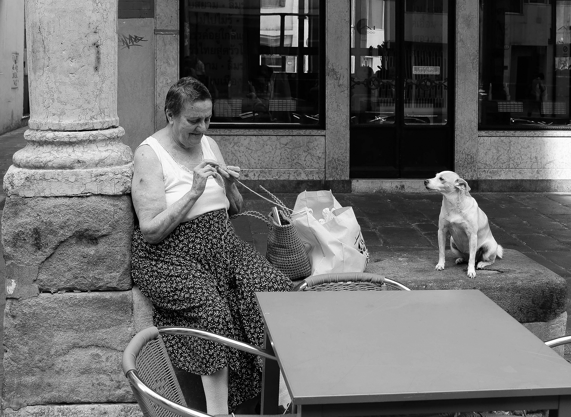 La merlettaia ed il cagnolino
