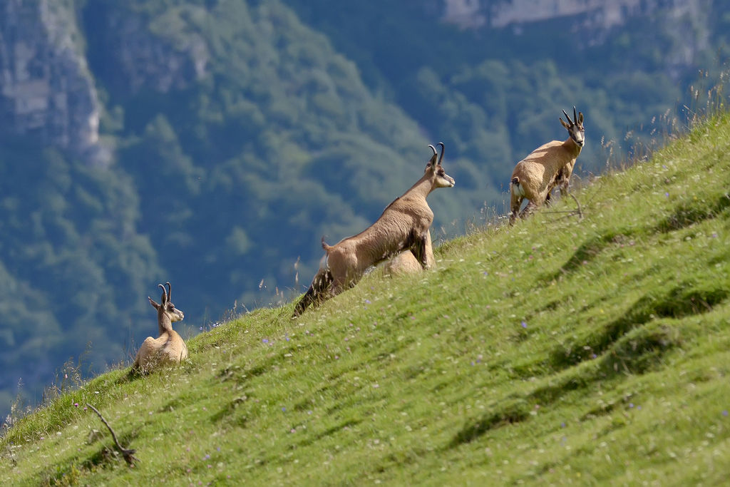Stretching del mattino
