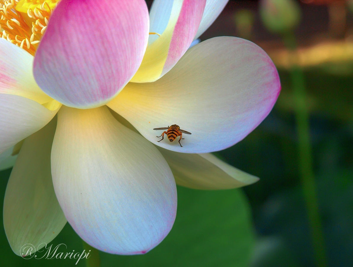 And .... this is for me!