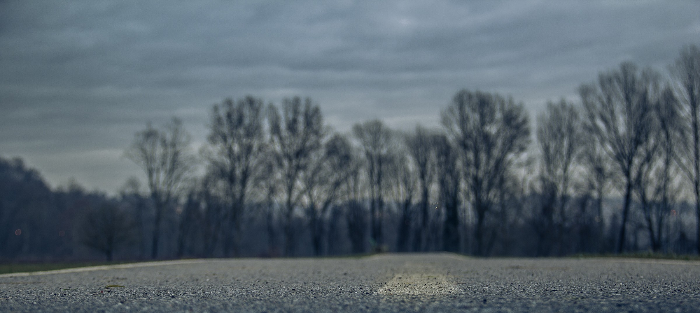 La strada della formica prima della pioggia.
