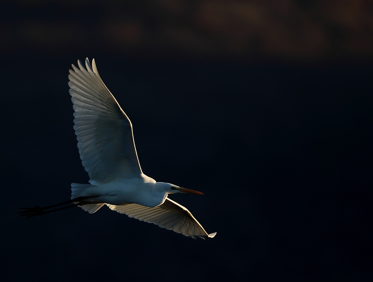 First ray of sun on the white