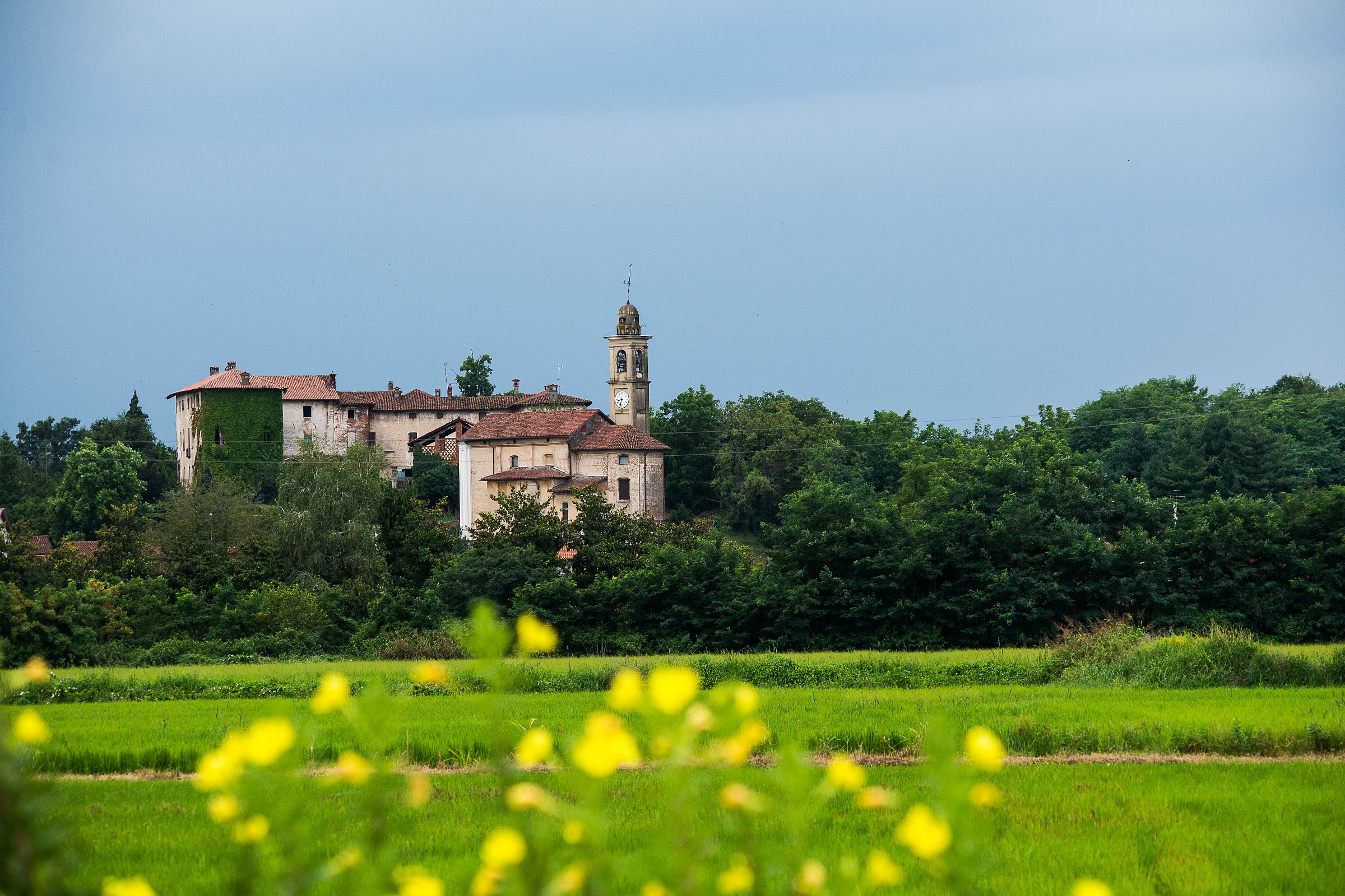 in fondo alla risaia...... - Cavagliano (No)