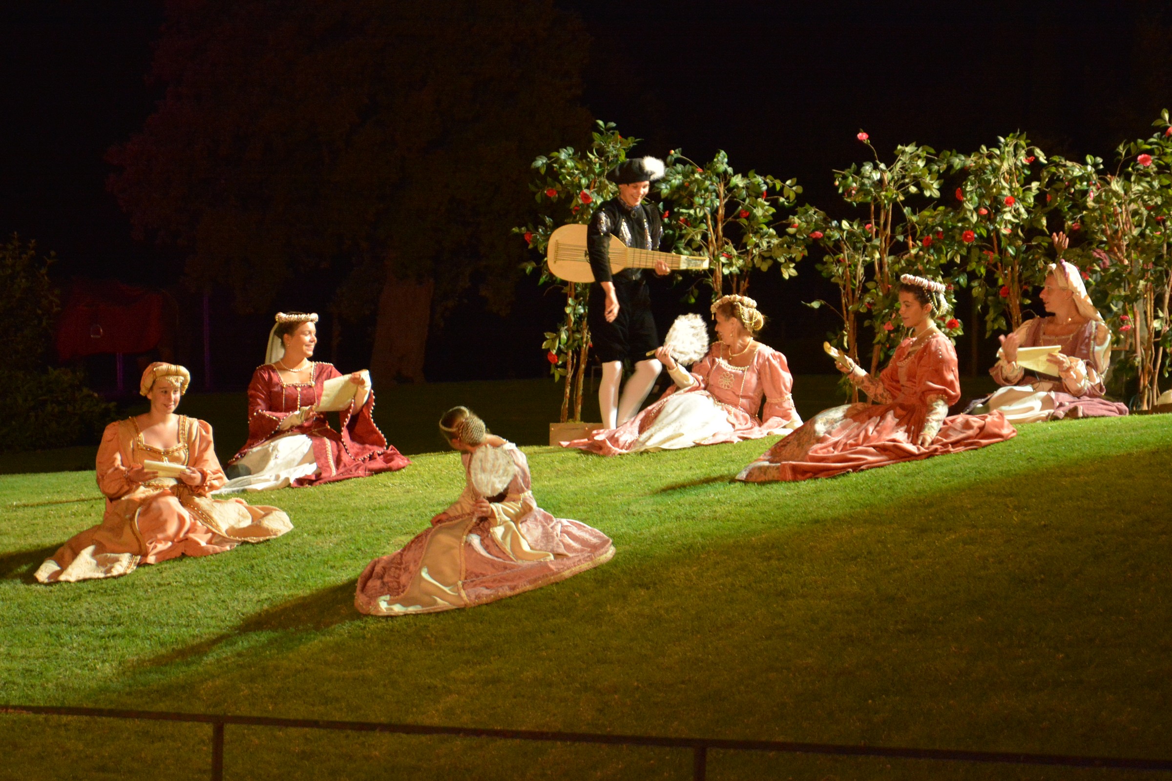 Amboise - the minstrel