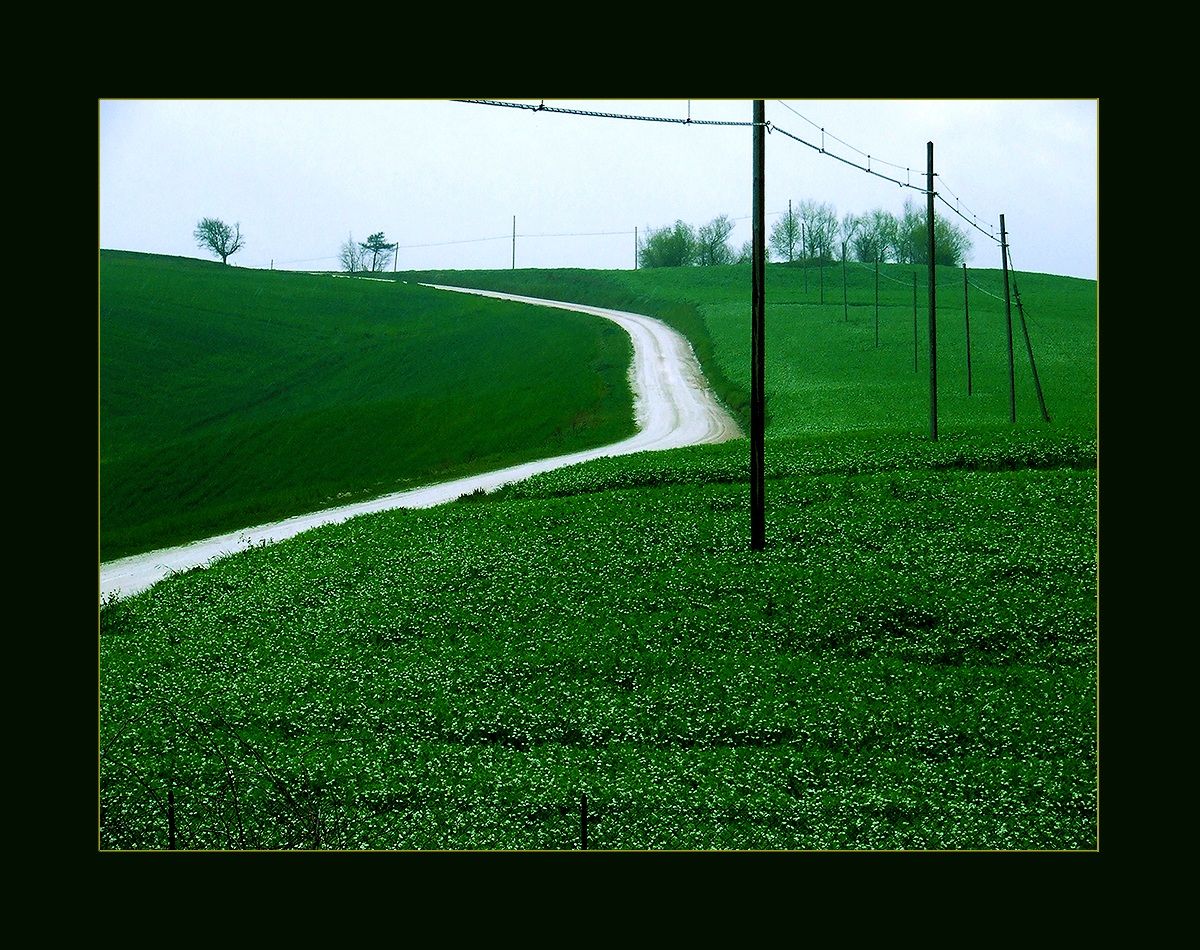 Campagna marchigiana. Arcevia