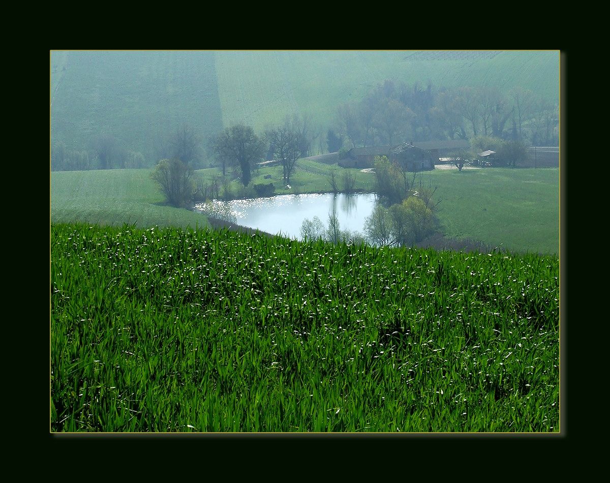 Campagna marchigiana. Arcevia