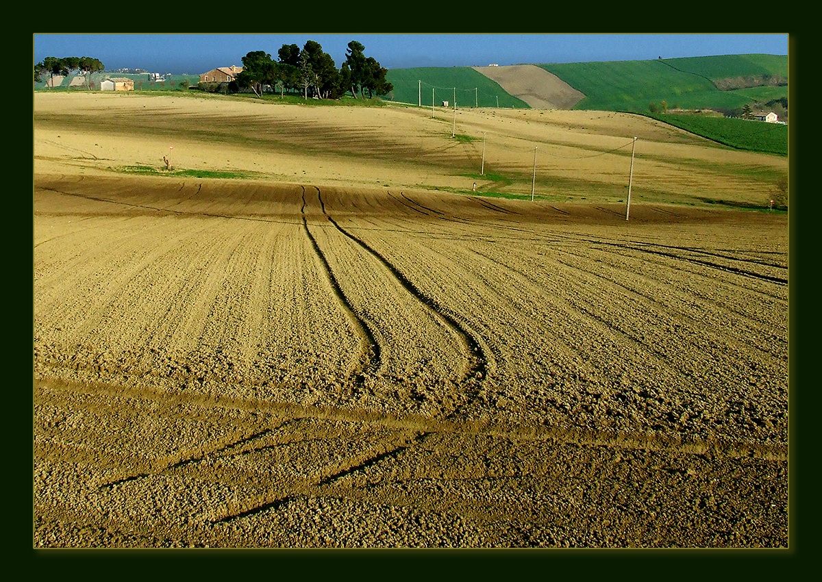 Campagna marchigiana. Arcevia
