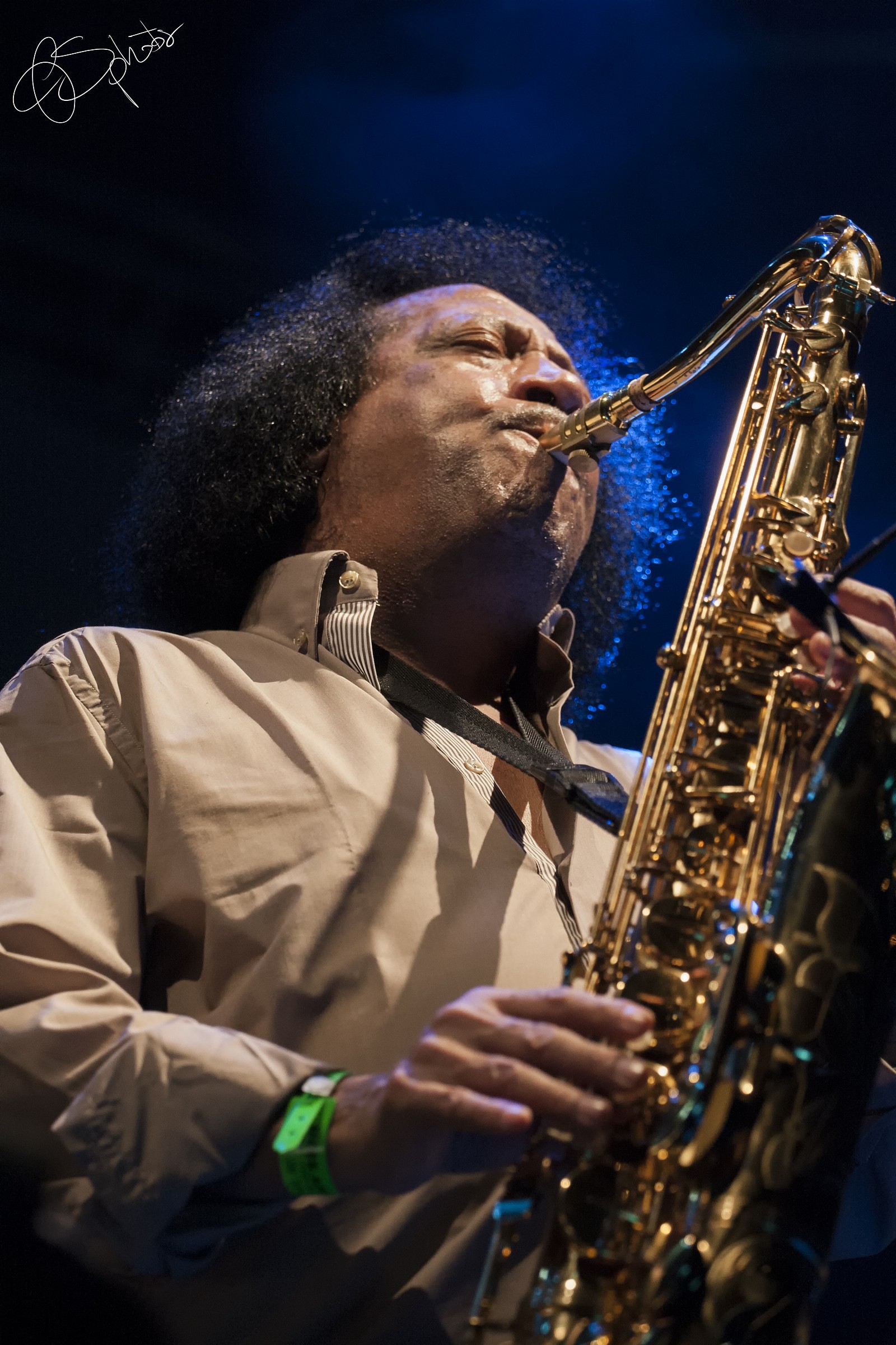 James Senese - Naples Central