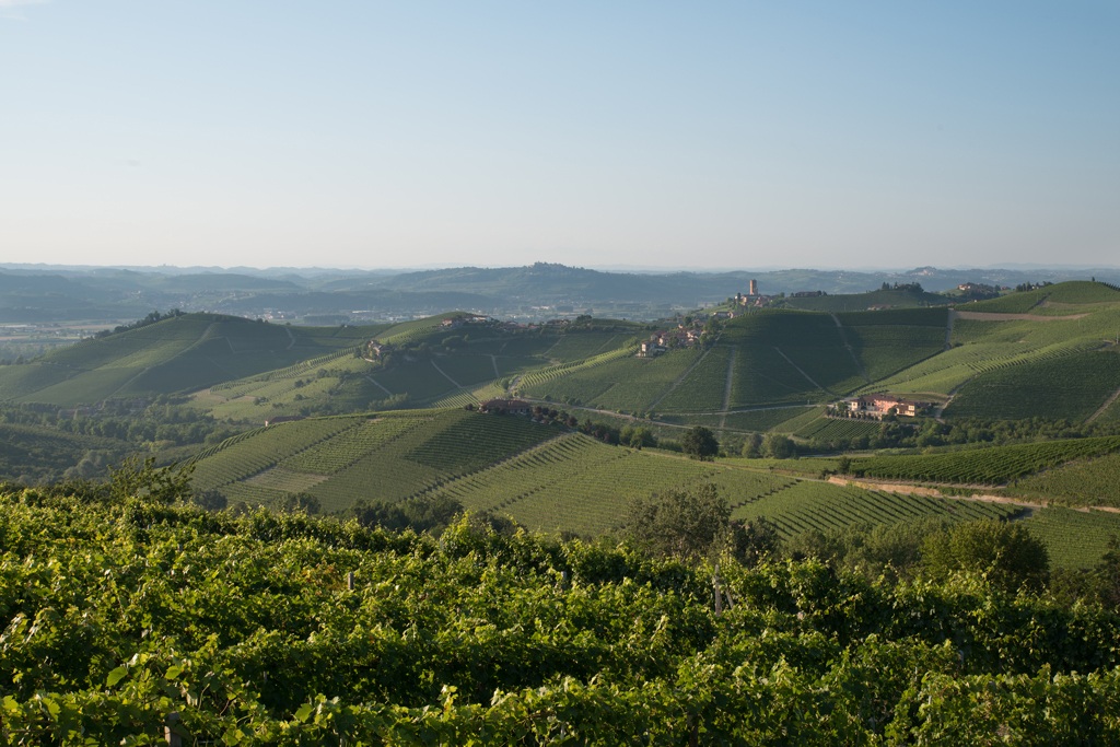 Barbaresco