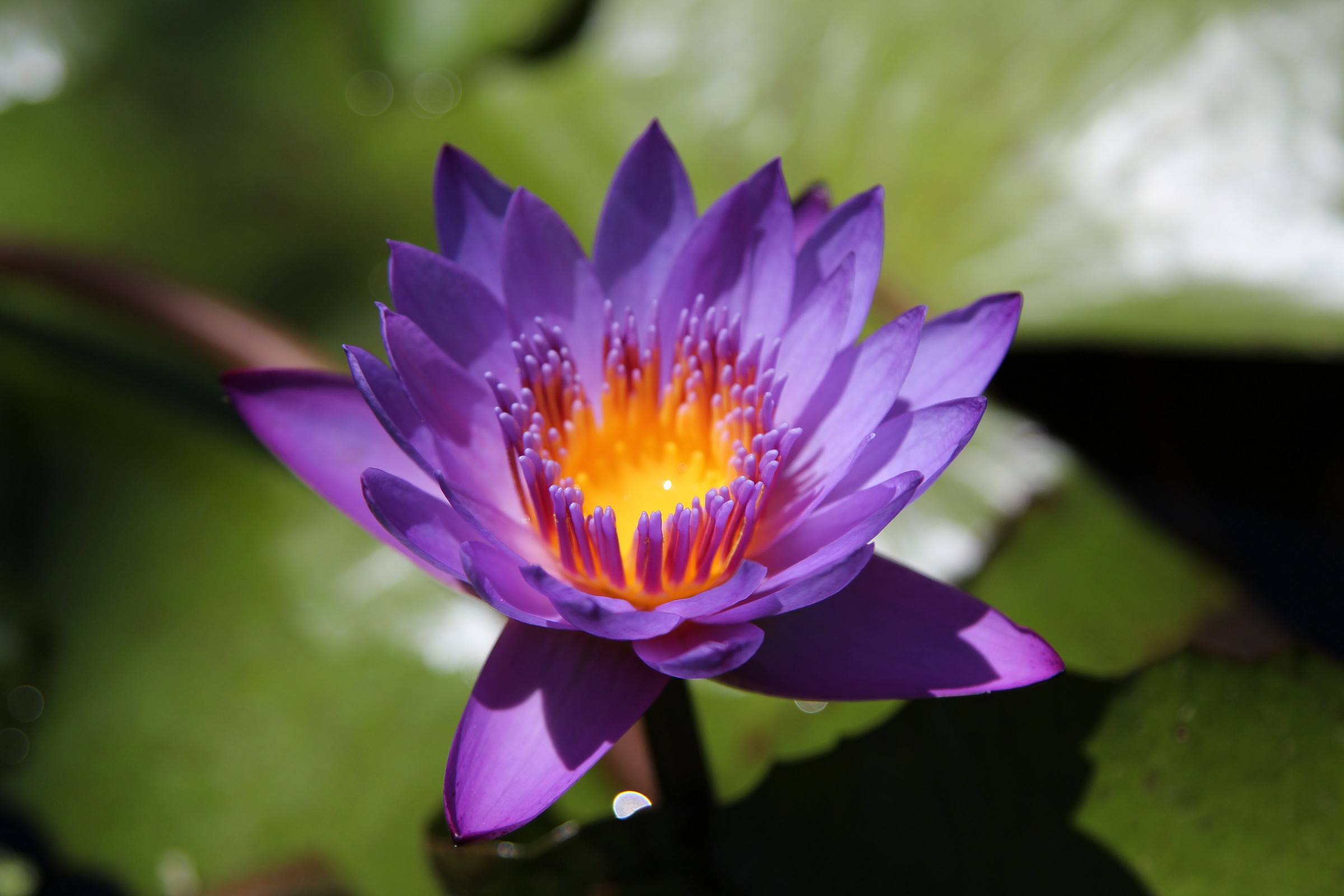 Jingshan Park Beijing