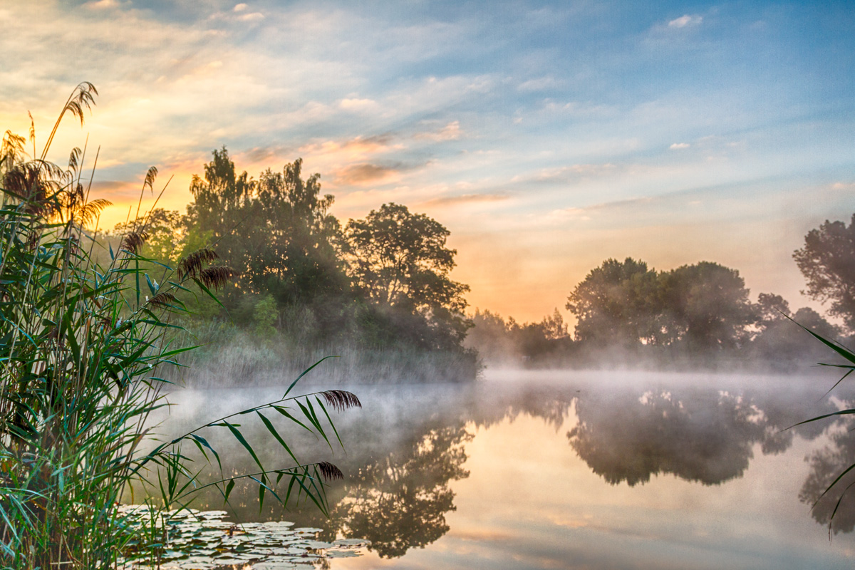 In the morning at the water