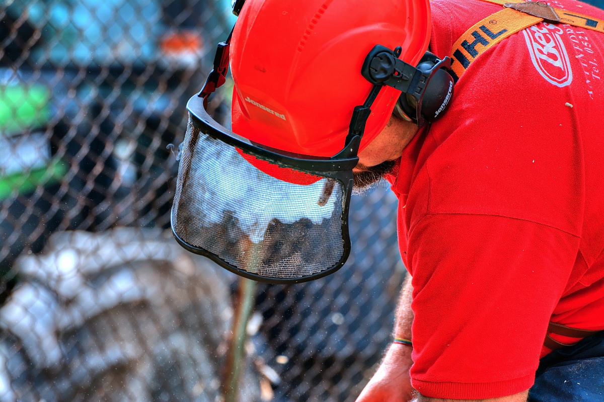 Cassio (pr) boscaiolo al lavoro